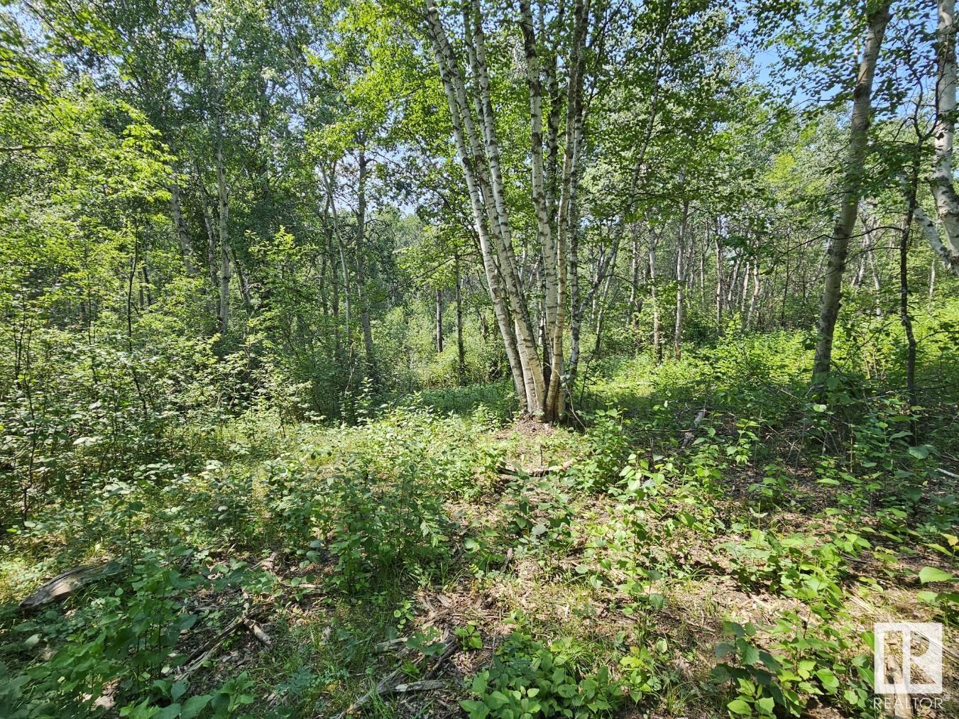      19 51124 RGE RD 264 , Rural Parkland County,  ,T7Y 1E8 ;  Listing Number: MLS E4280974