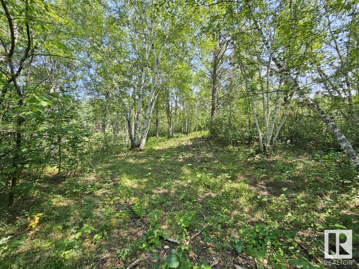      19 51124 RGE RD 264 , Rural Parkland County,  ,T7Y 1E8 ;  Listing Number: MLS E4280974