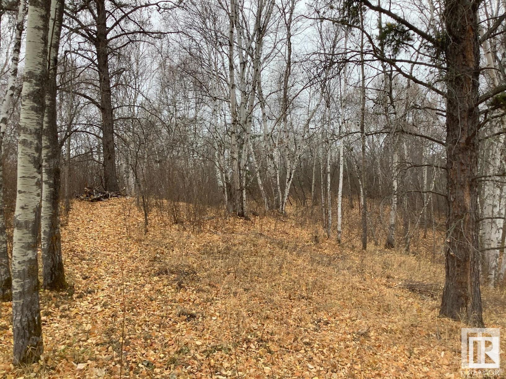      19 51124 RGE RD 264 , Rural Parkland County,  ,T7Y 1E8 ;  Listing Number: MLS E4280974