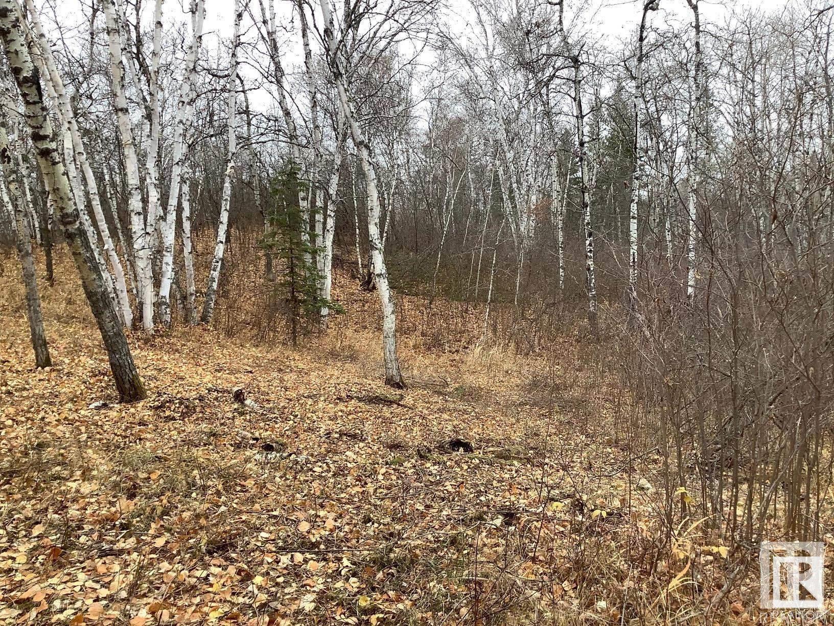      19 51124 RGE RD 264 , Rural Parkland County,  ,T7Y 1E8 ;  Listing Number: MLS E4280974