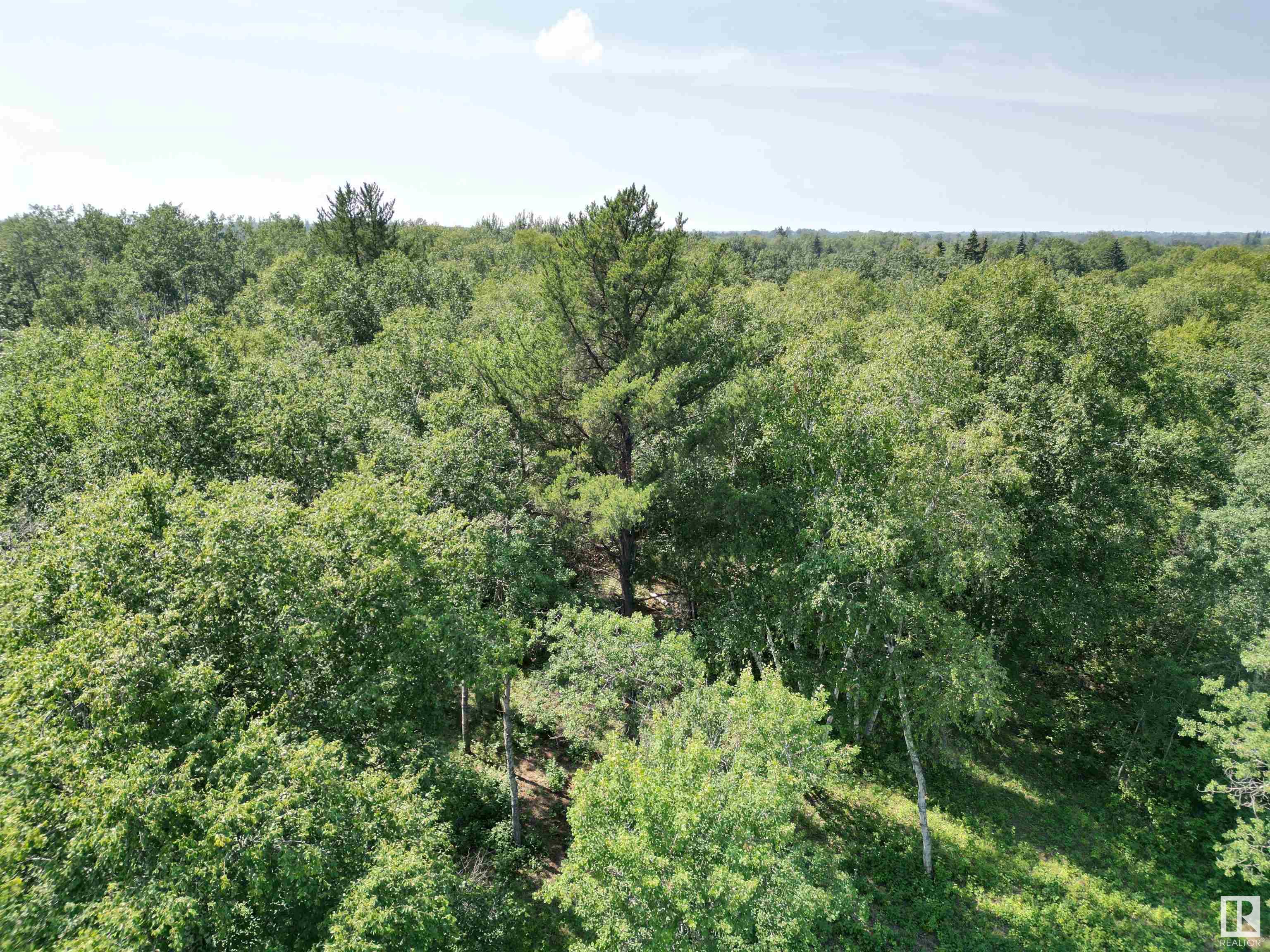      19 51124 RGE RD 264 , Rural Parkland County,  ,T7Y 1E8 ;  Listing Number: MLS E4280974