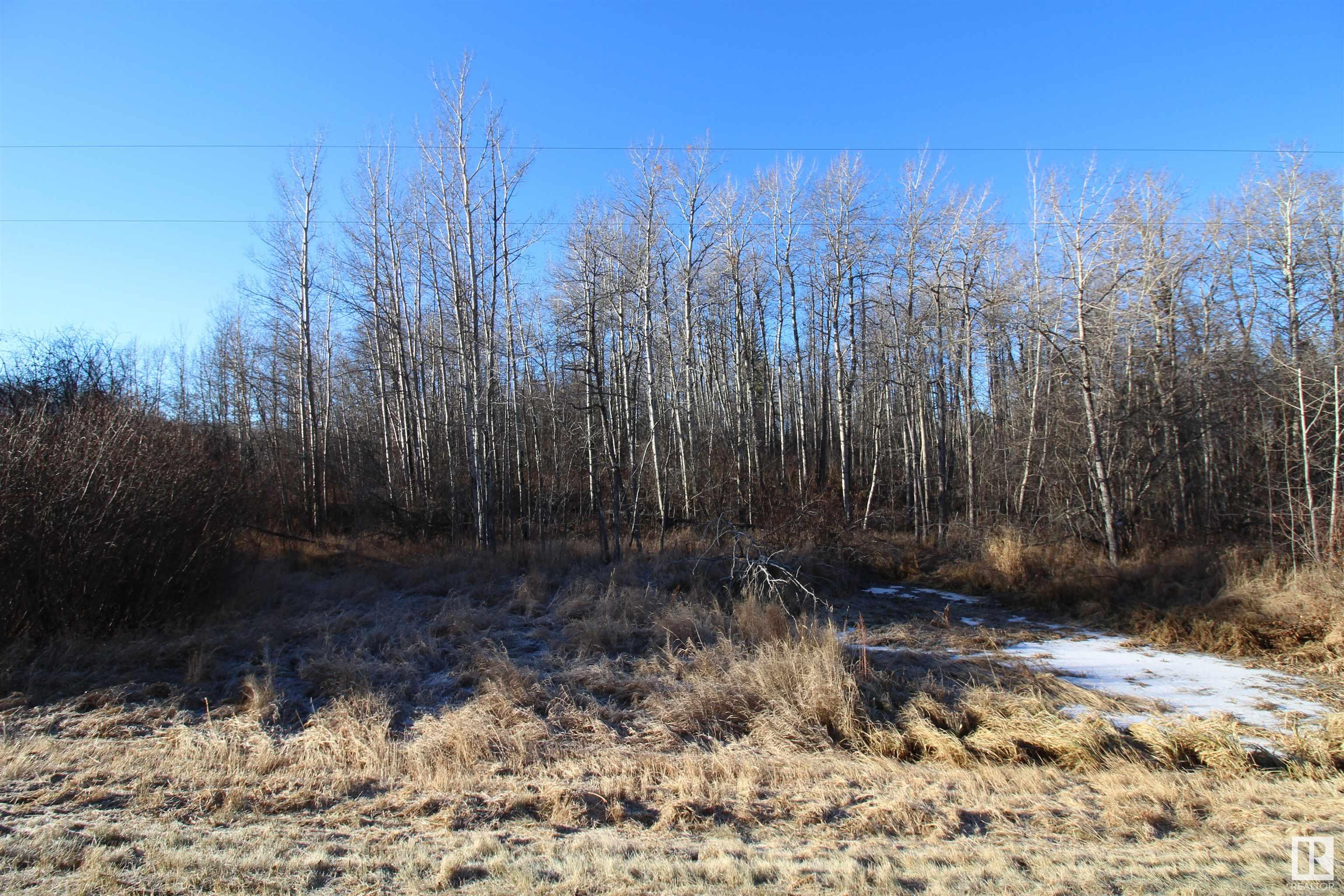      #100 54127 RGE RD 30 , Rural Lac Ste. Anne County,  ,T0E 0A0 ;  Listing Number: MLS E4327730