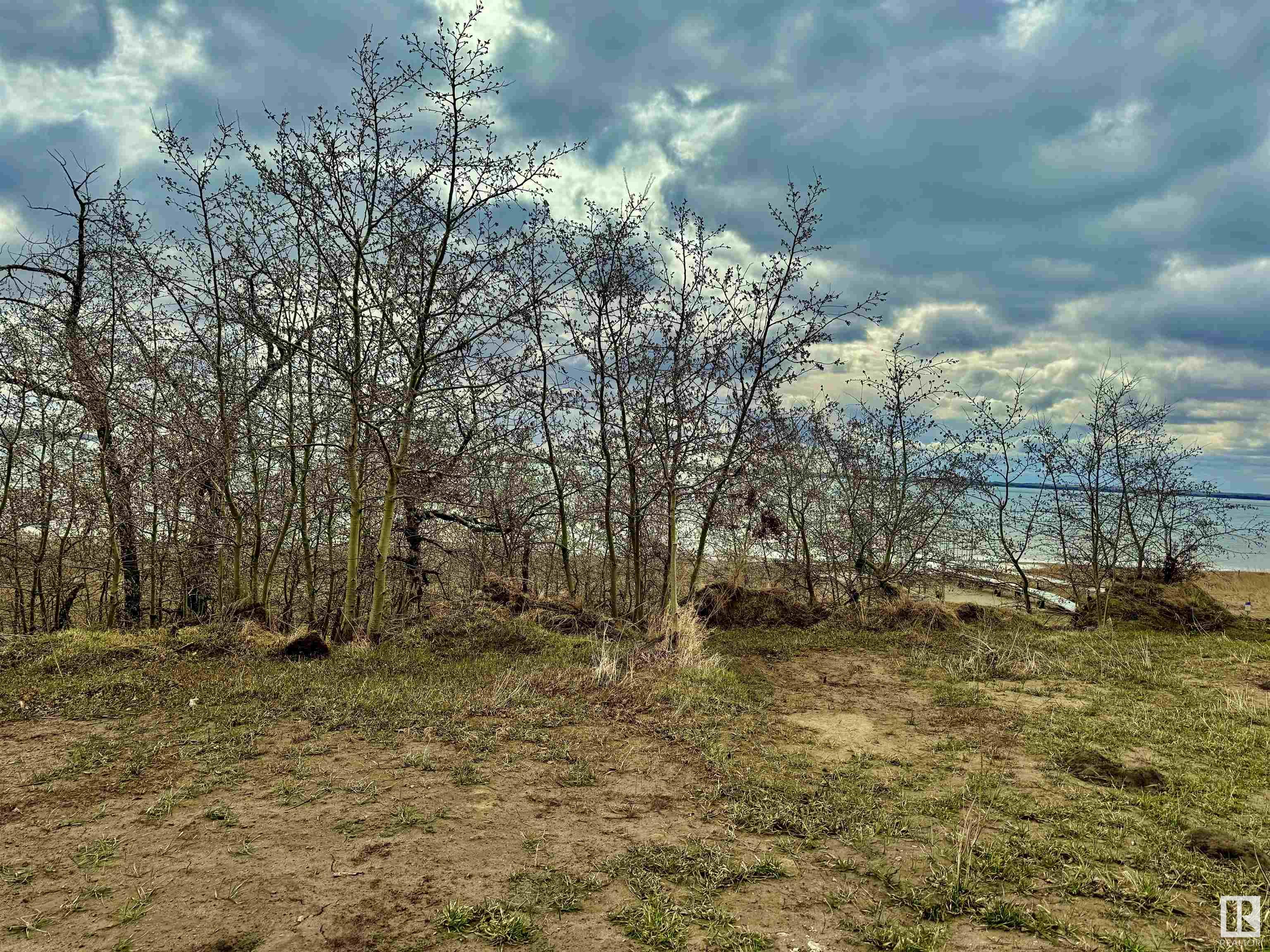      217 Lakeshore DR , Rural Camrose County,  ,T0B 0H3 ;  Listing Number: MLS E4376286