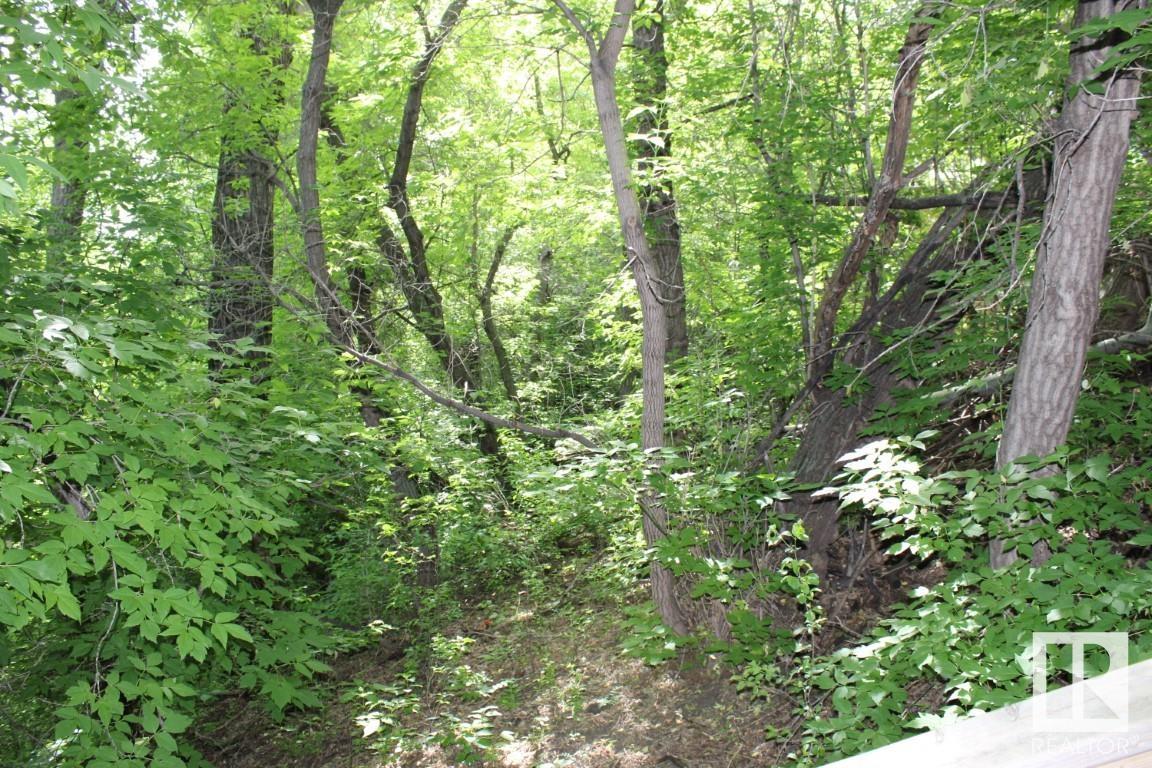 http://cdnparap120.paragonrels.com/ParagonImages/Property/p12/RAE/225305152/4/0/0/96bafa2b8fe167ae890bcf05c99ef4af/1/63daa41b75223d9dac0032f03be3922b/225305152-2c941da7-f3af-4d0a-af79-6309cdd27fcd.JPG