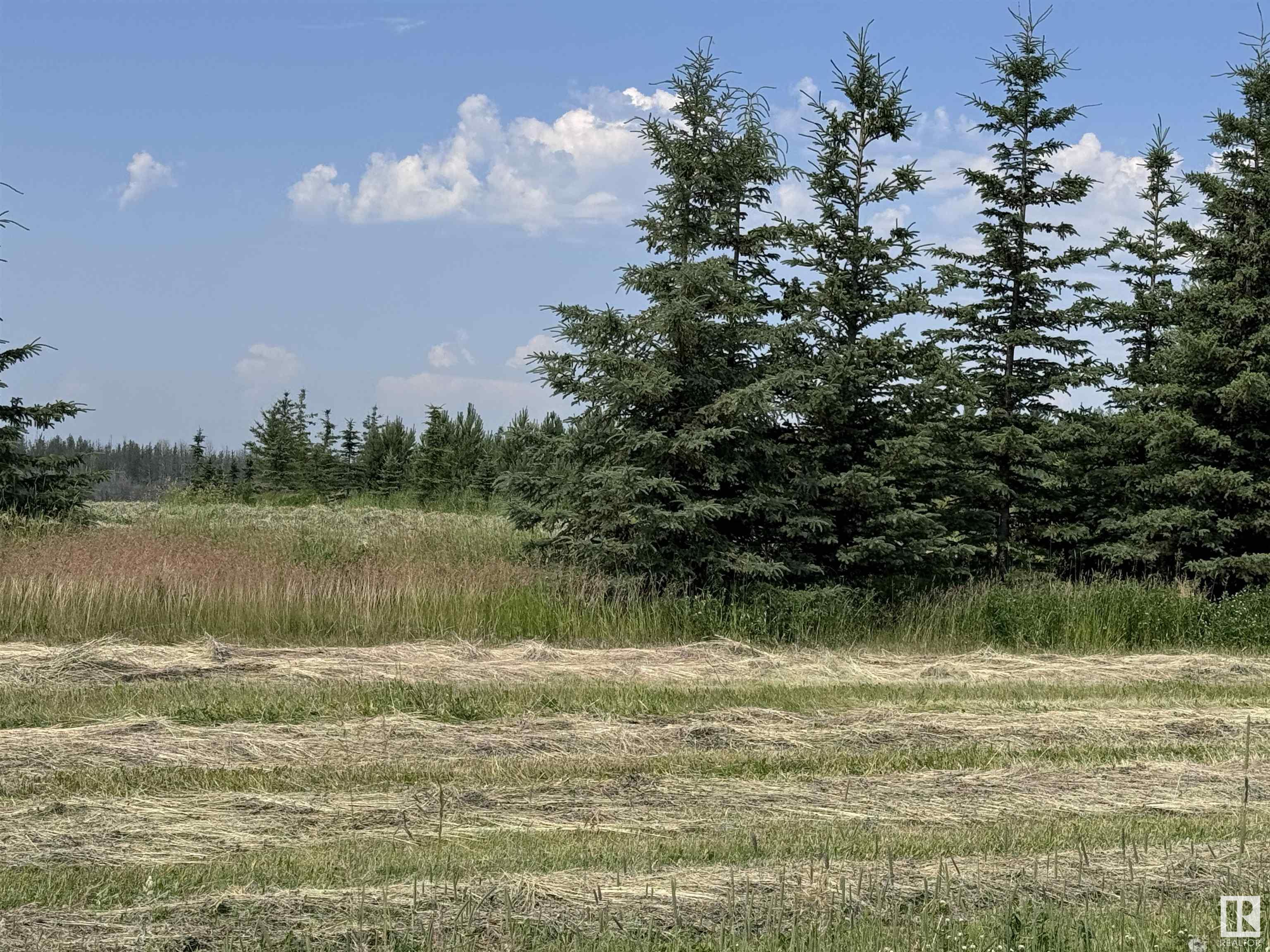      64108 RGE RD 272 , Rural Westlock County,  ,T0G 1H0 ;  Listing Number: MLS E4397717