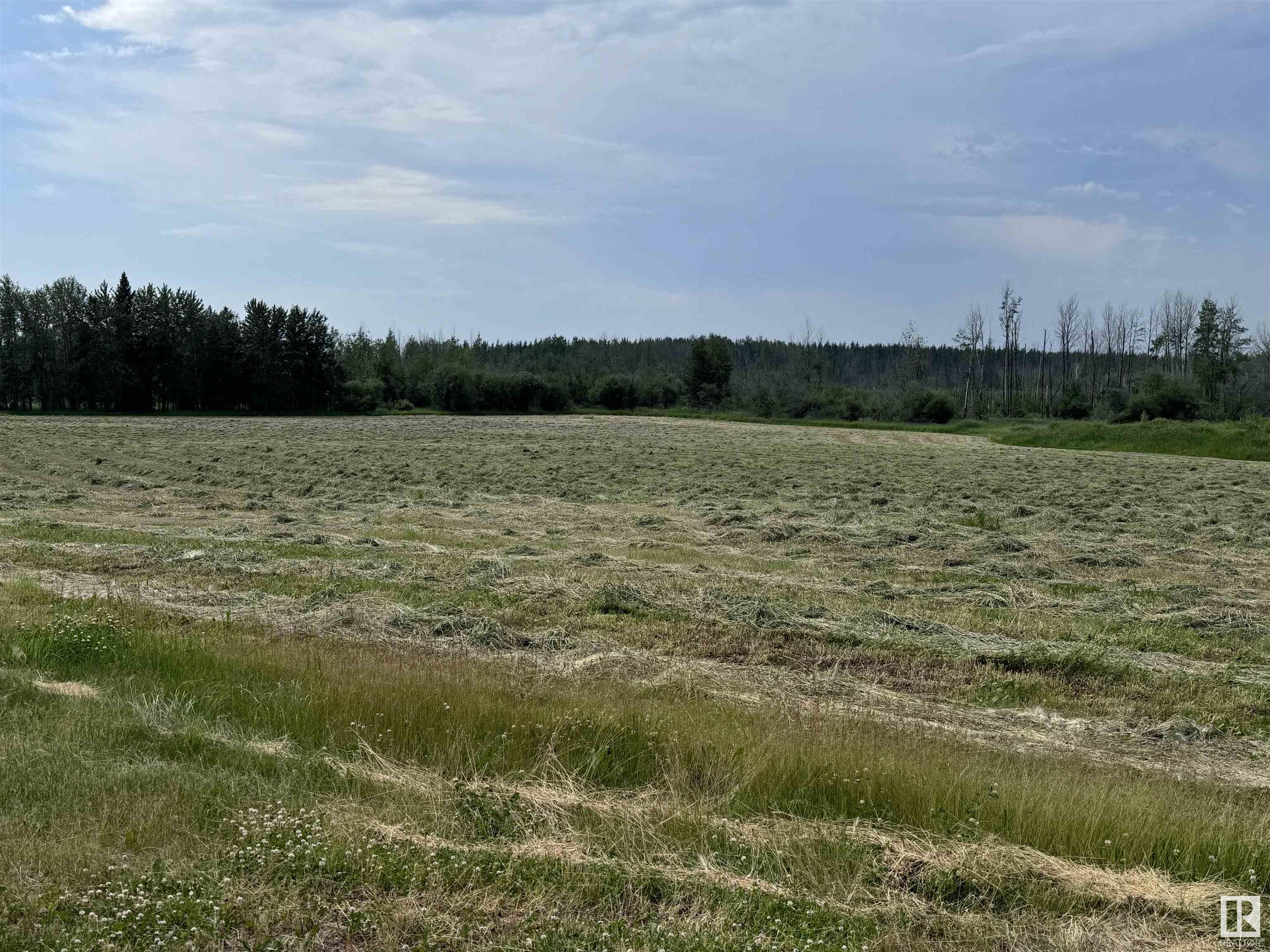      64108 RGE RD 272 , Rural Westlock County,  ,T0G 1H0 ;  Listing Number: MLS E4397717