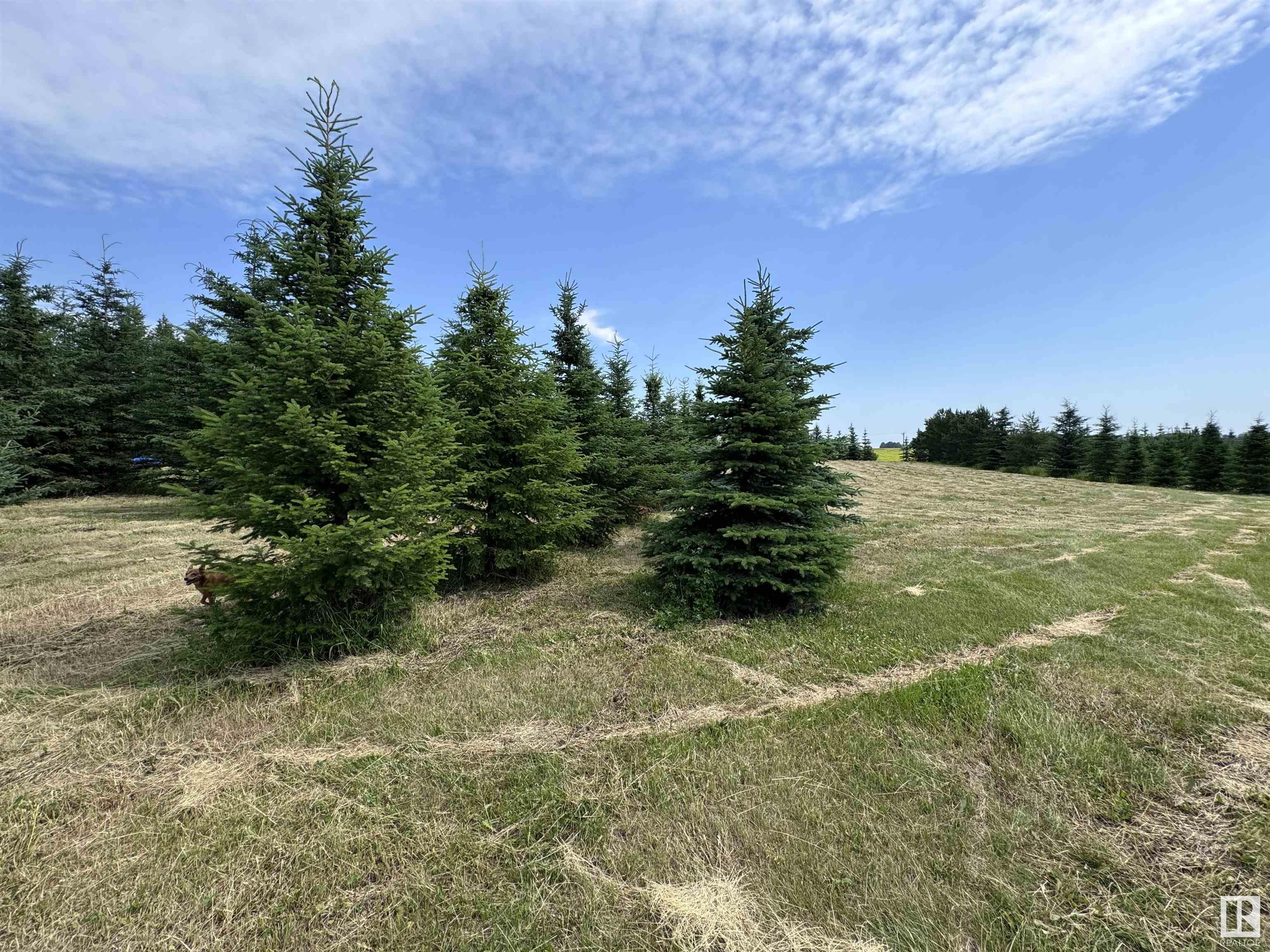      64108 RGE RD 272 , Rural Westlock County,  ,T0G 1H0 ;  Listing Number: MLS E4397717
