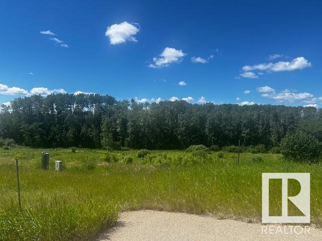      #14 1118 TWP RD 534 , Rural Parkland County,  ,T7Y 0B6 ;  Listing Number: MLS E4402008