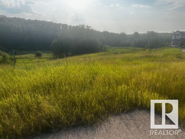      #14 1118 TWP RD 534 , Rural Parkland County,  ,T7Y 0B6 ;  Listing Number: MLS E4402008