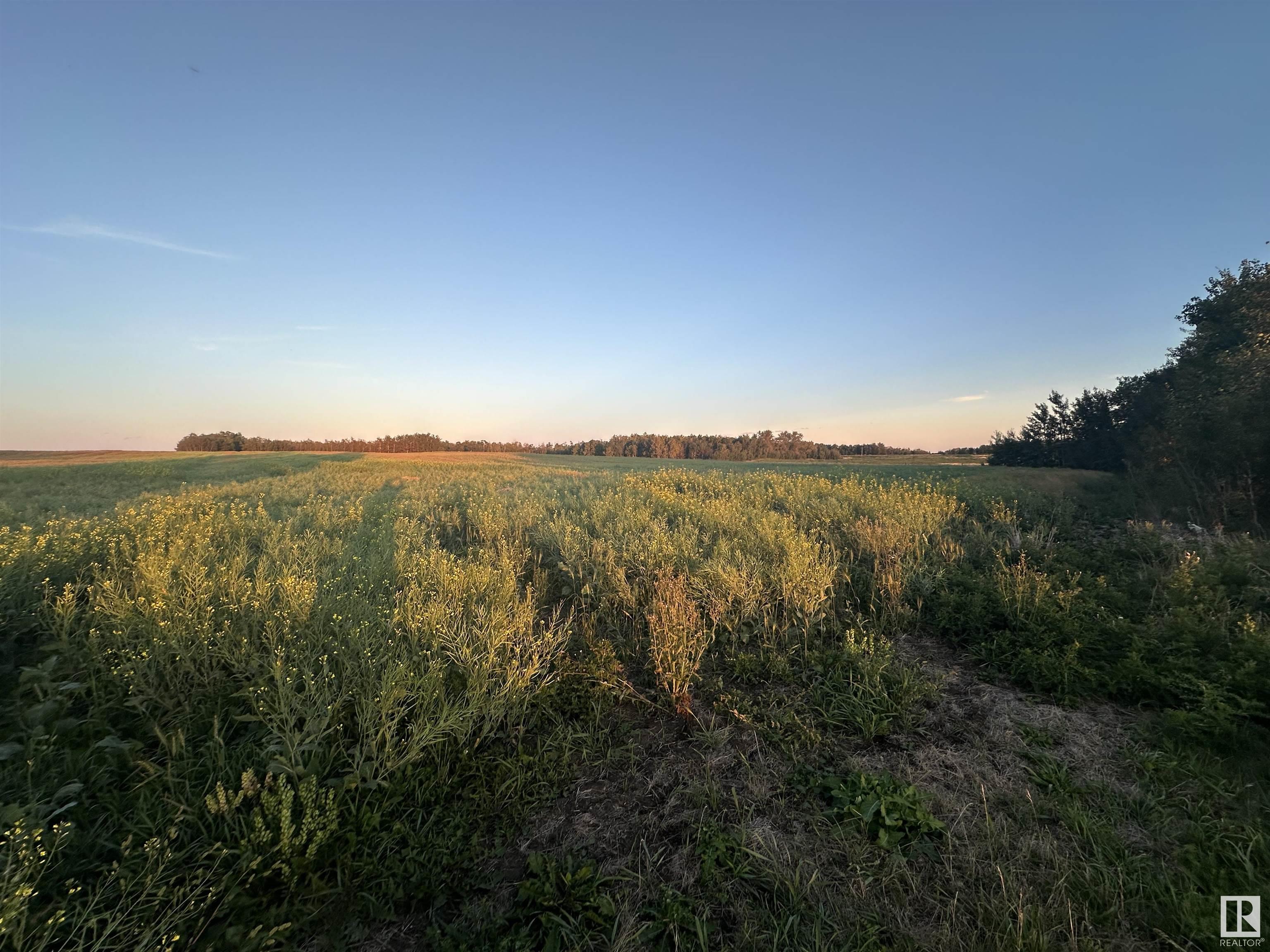      RR 235 TWP RD 505 , Rural Leduc County,  ,T4X 0J7 ;  Listing Number: MLS E4404179