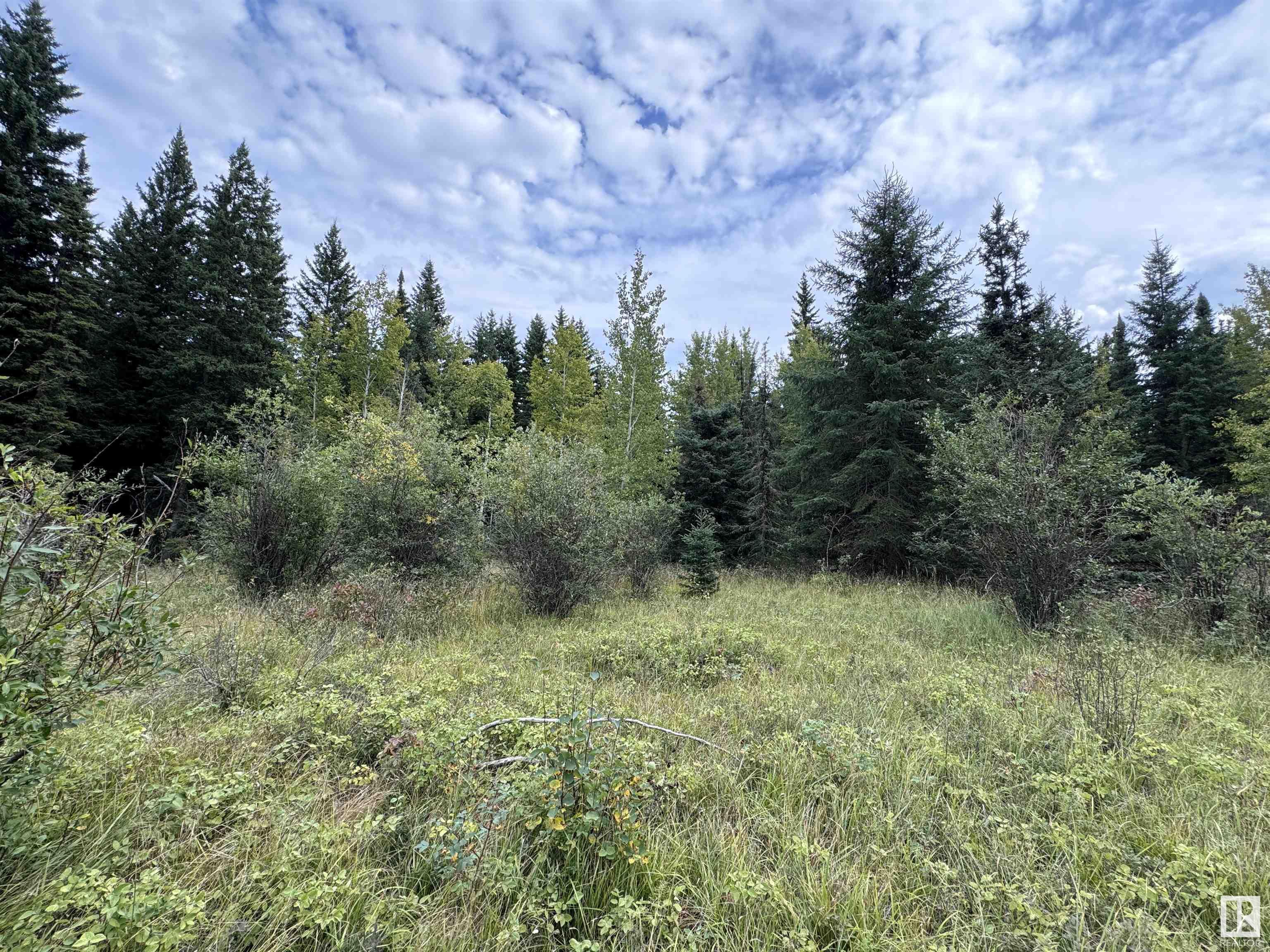      59203 Rge Rd 235A , Rural Westlock County,  ,T0G 2J0 ;  Listing Number: MLS E4405992