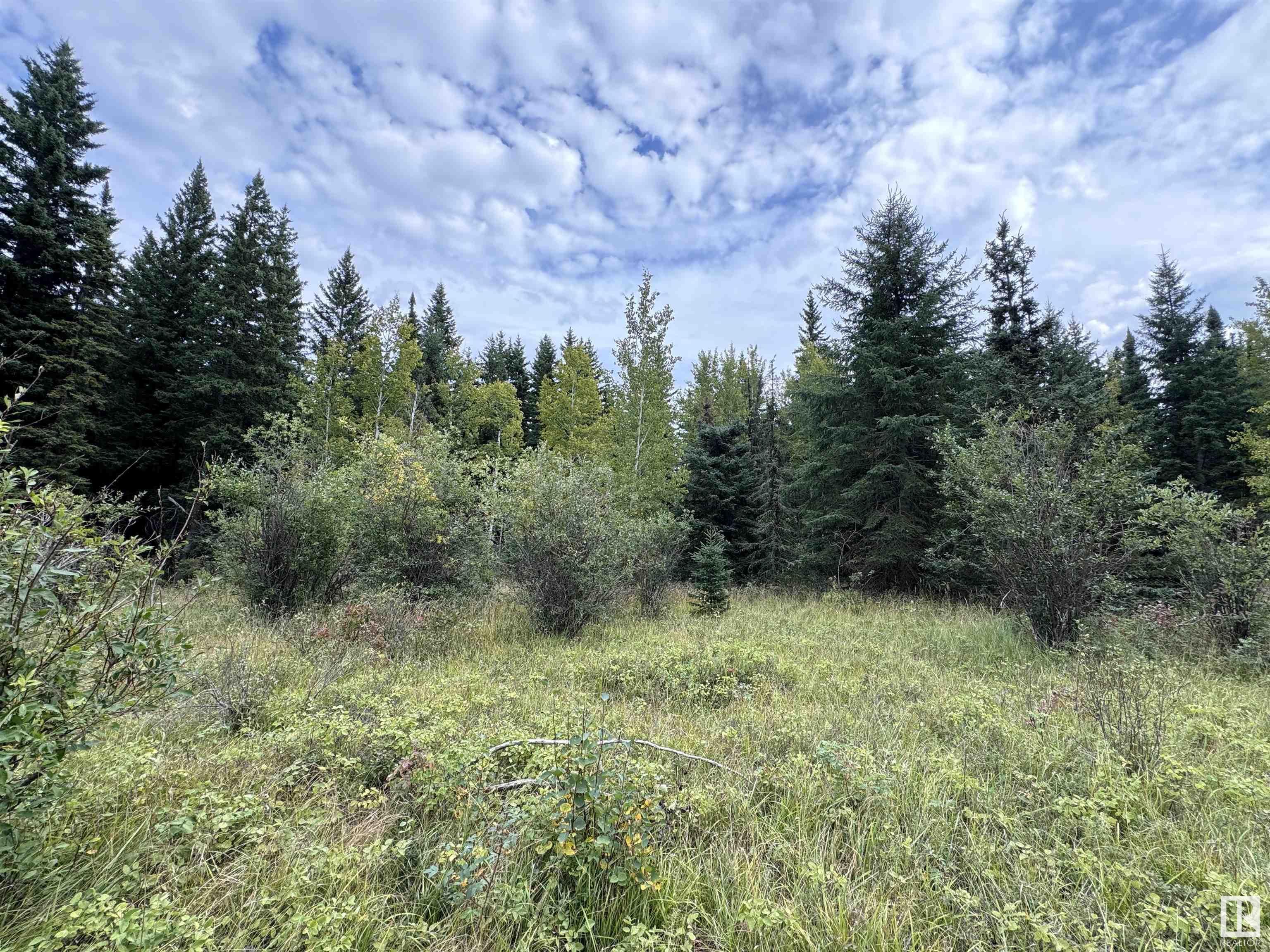      59203 Rge Rd 235A , Rural Westlock County,  ,T0G 2J0 ;  Listing Number: MLS E4405992