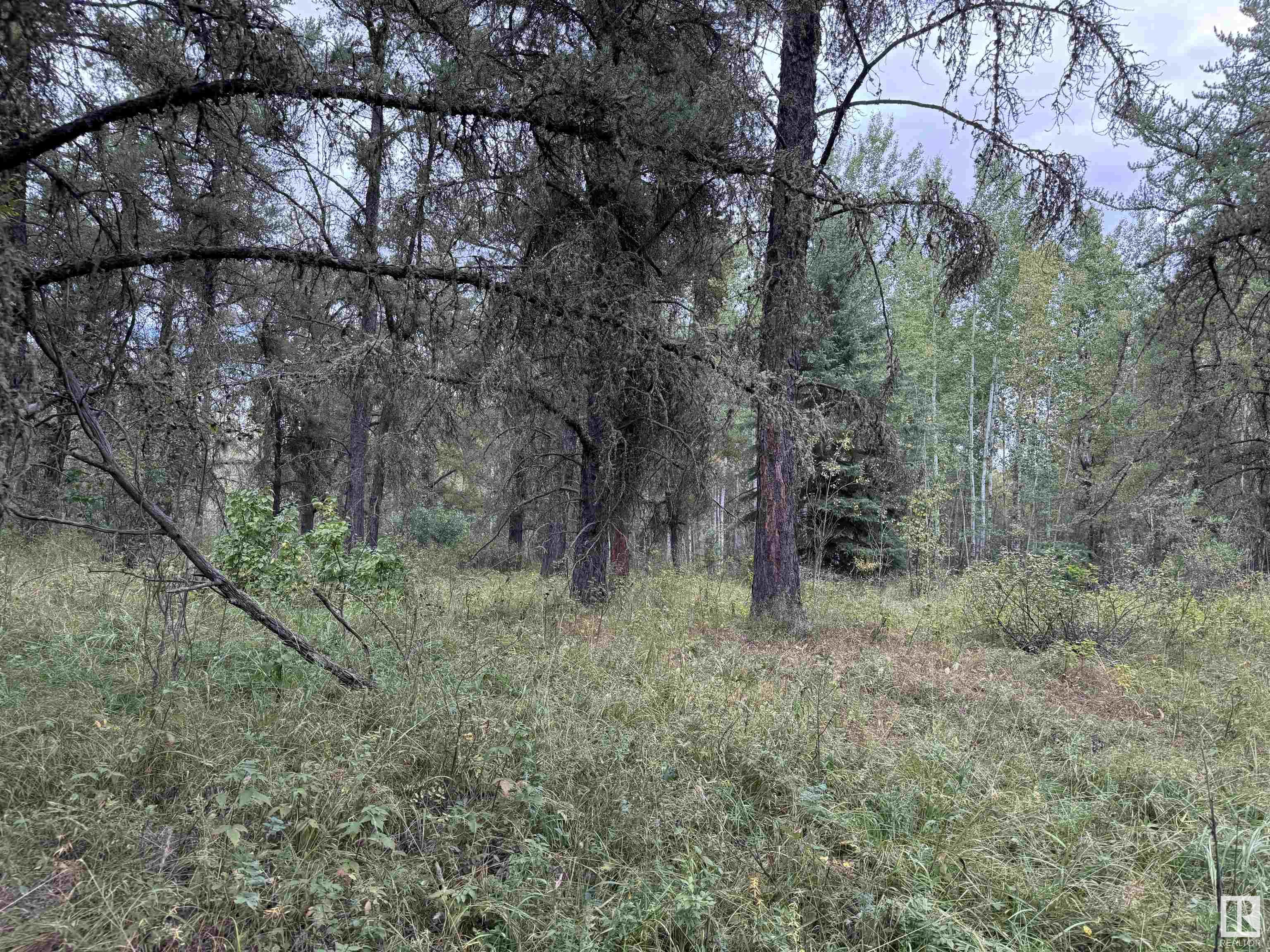      59203 Rge Rd 235A , Rural Westlock County,  ,T0G 2J0 ;  Listing Number: MLS E4405992
