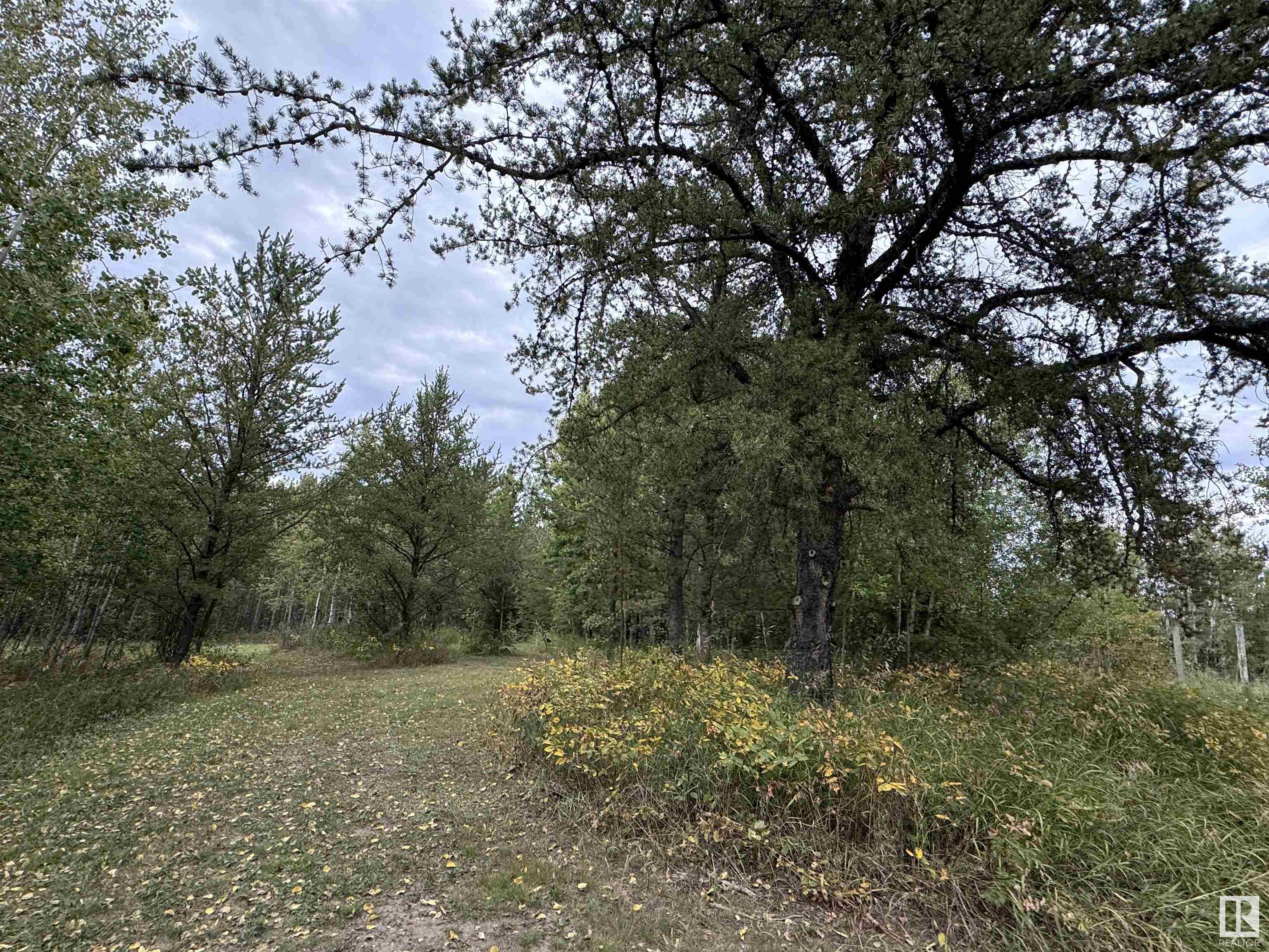      59203 Rge Rd 235A , Rural Westlock County,  ,T0G 2J0 ;  Listing Number: MLS E4405992