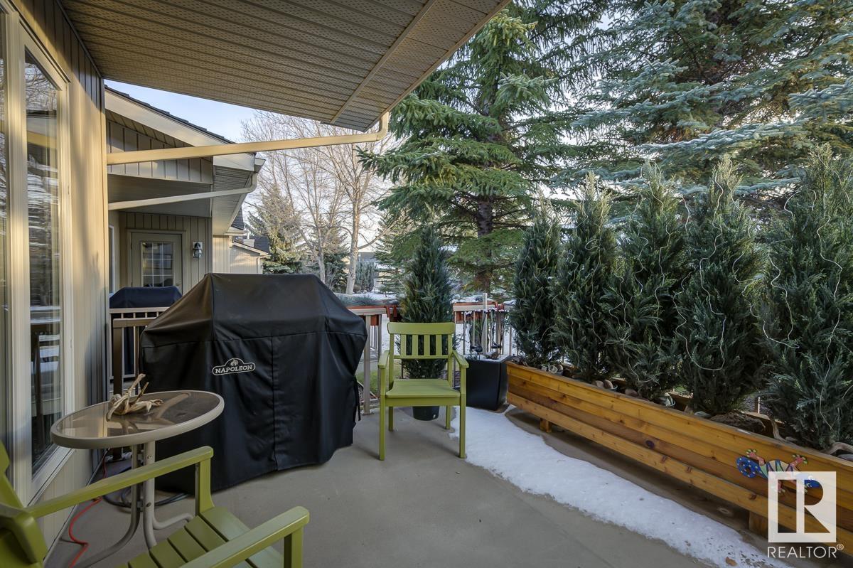      #58 929 PICARD DR NW , Edmonton,  ,T5T 6J7 ;  Listing Number: MLS E4414224