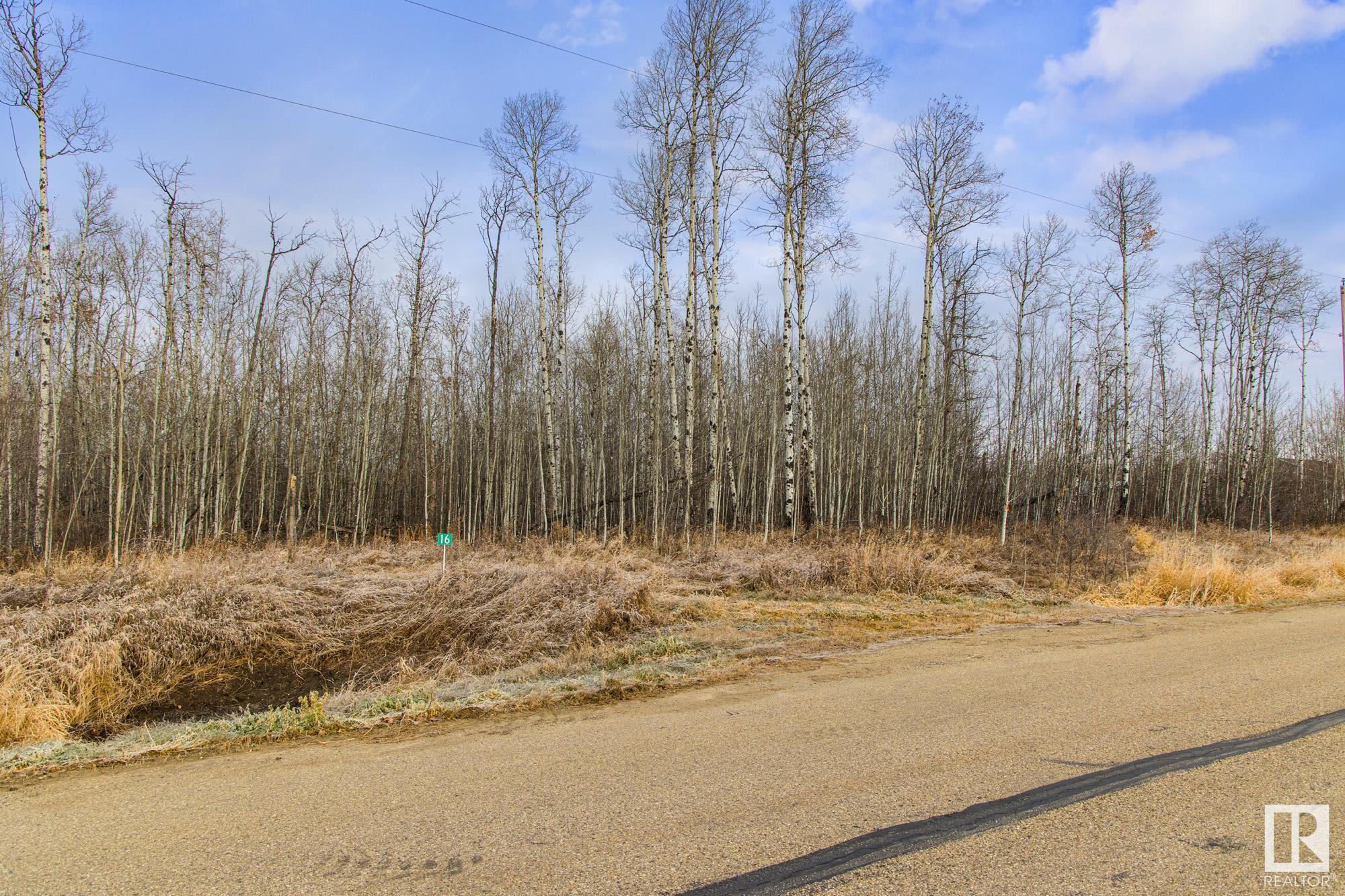      #16 53521 RGE ROAD 272 , Rural Parkland County,  ,T7X 3M5 ;  Listing Number: MLS E4414526