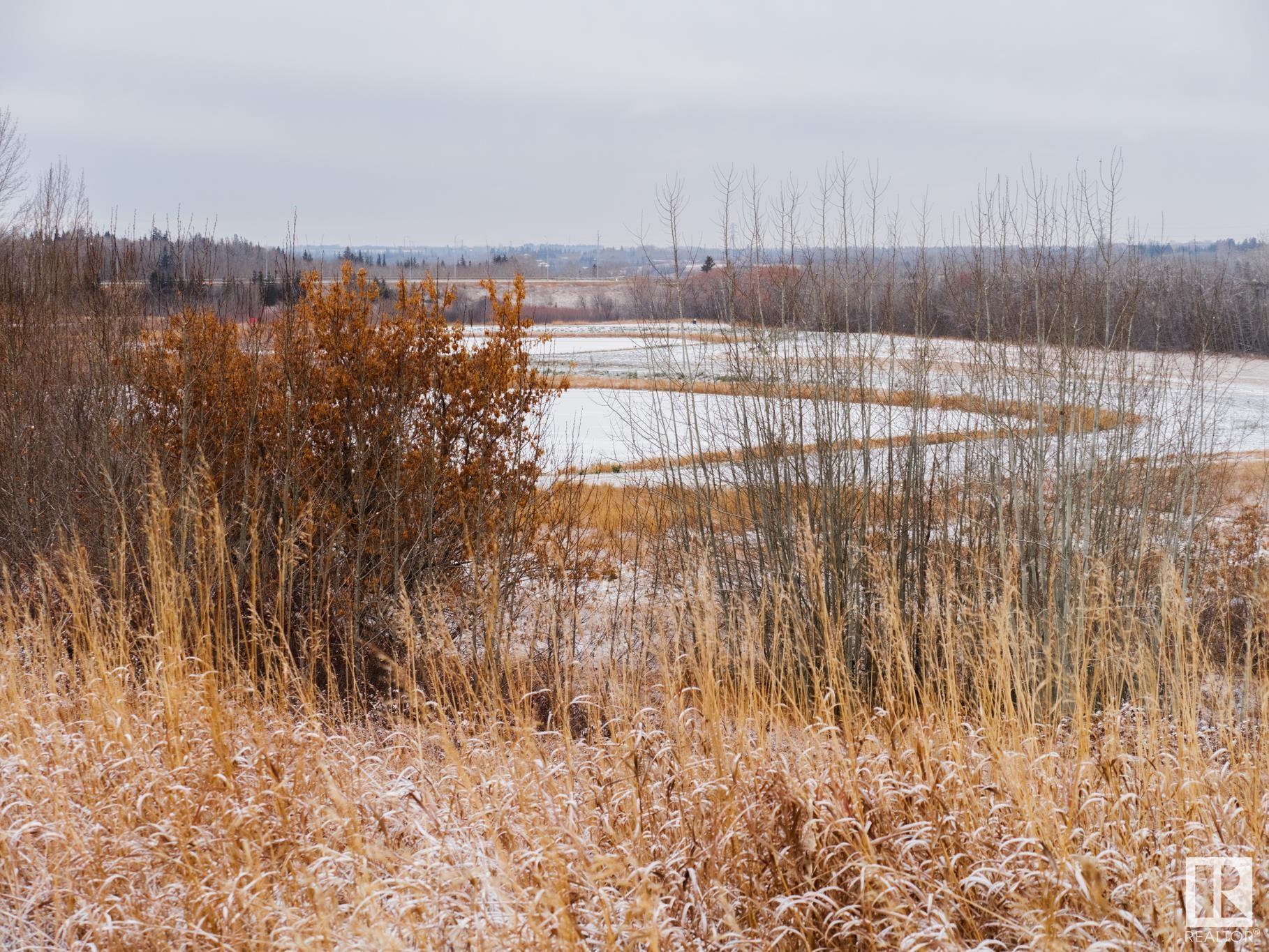      #414 9940 SHERRIDON DR , Fort Saskatchewan,  ,T8L 4C9 ;  Listing Number: MLS E4414573