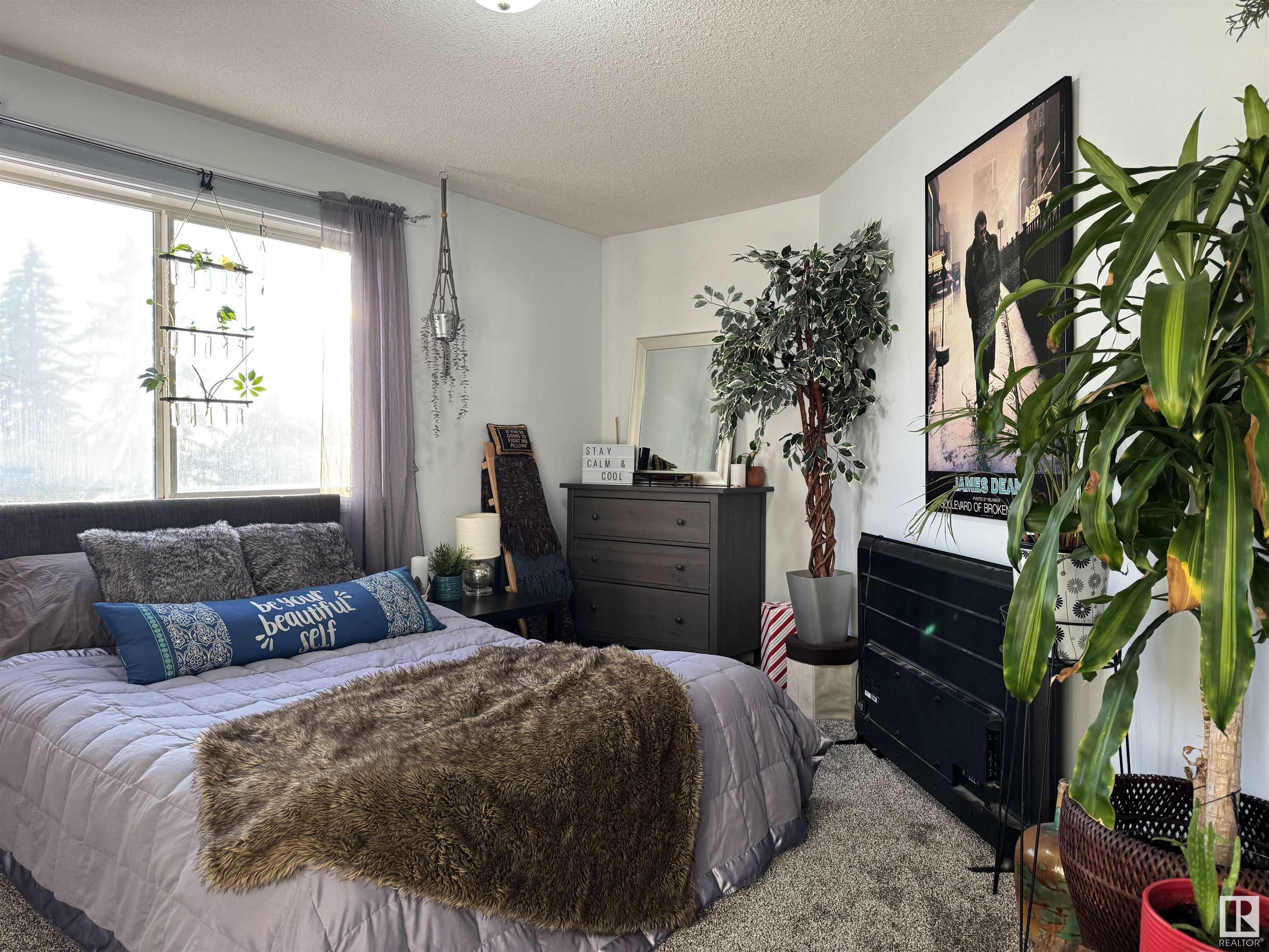      #204 6623 172 ST NW , Edmonton,  ,T5T 6J2 ;  Listing Number: MLS E4415348