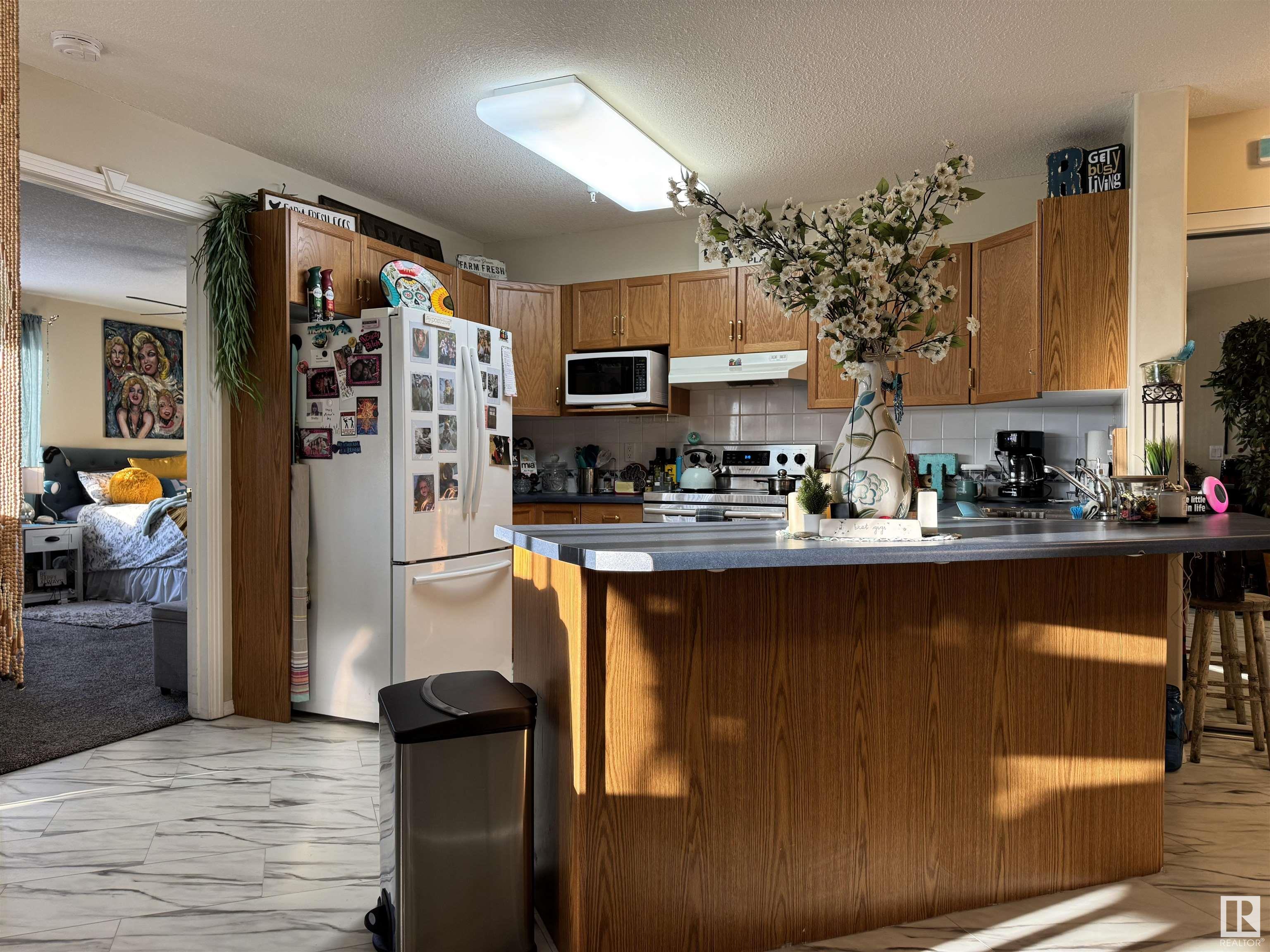      #204 6623 172 ST NW , Edmonton,  ,T5T 6J2 ;  Listing Number: MLS E4415348