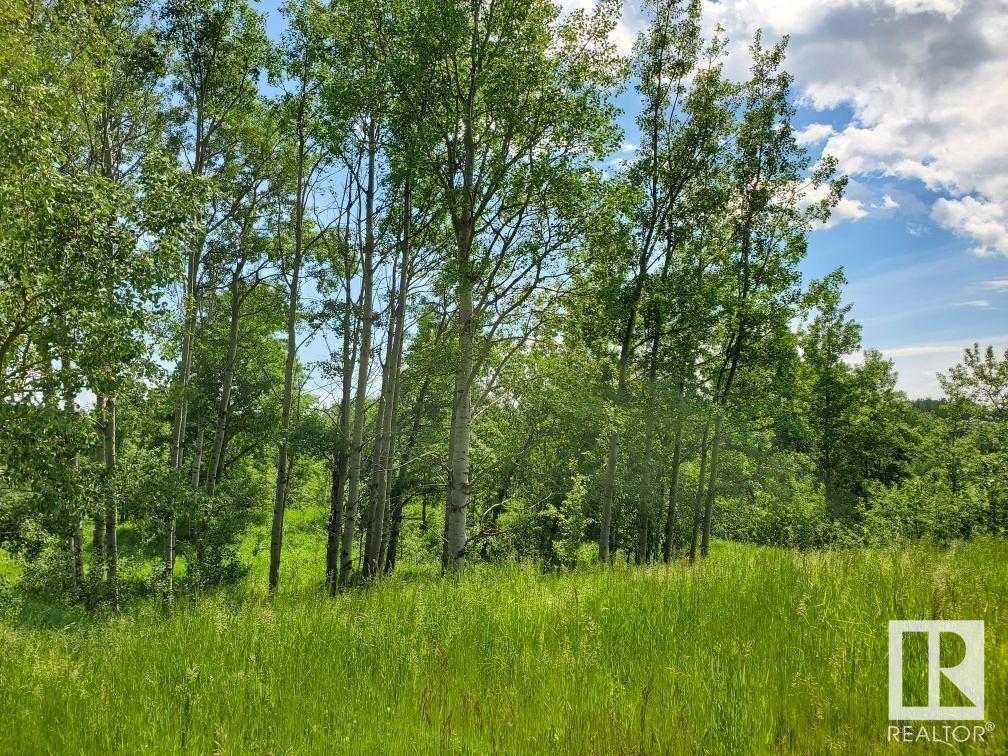      39 Bruhn Bend , Rural Ponoka County,  ,T0C 2J0 ;  Listing Number: MLS E4415674