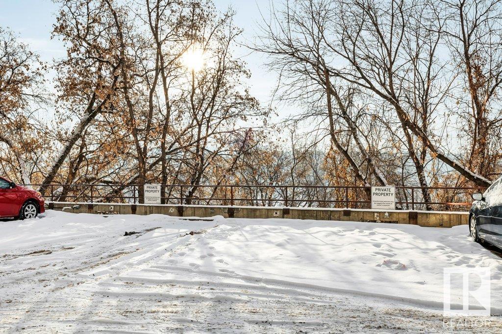      #206 12207 JASPER AV NW , Edmonton,  ,T5N 3K2 ;  Listing Number: MLS E4416146
