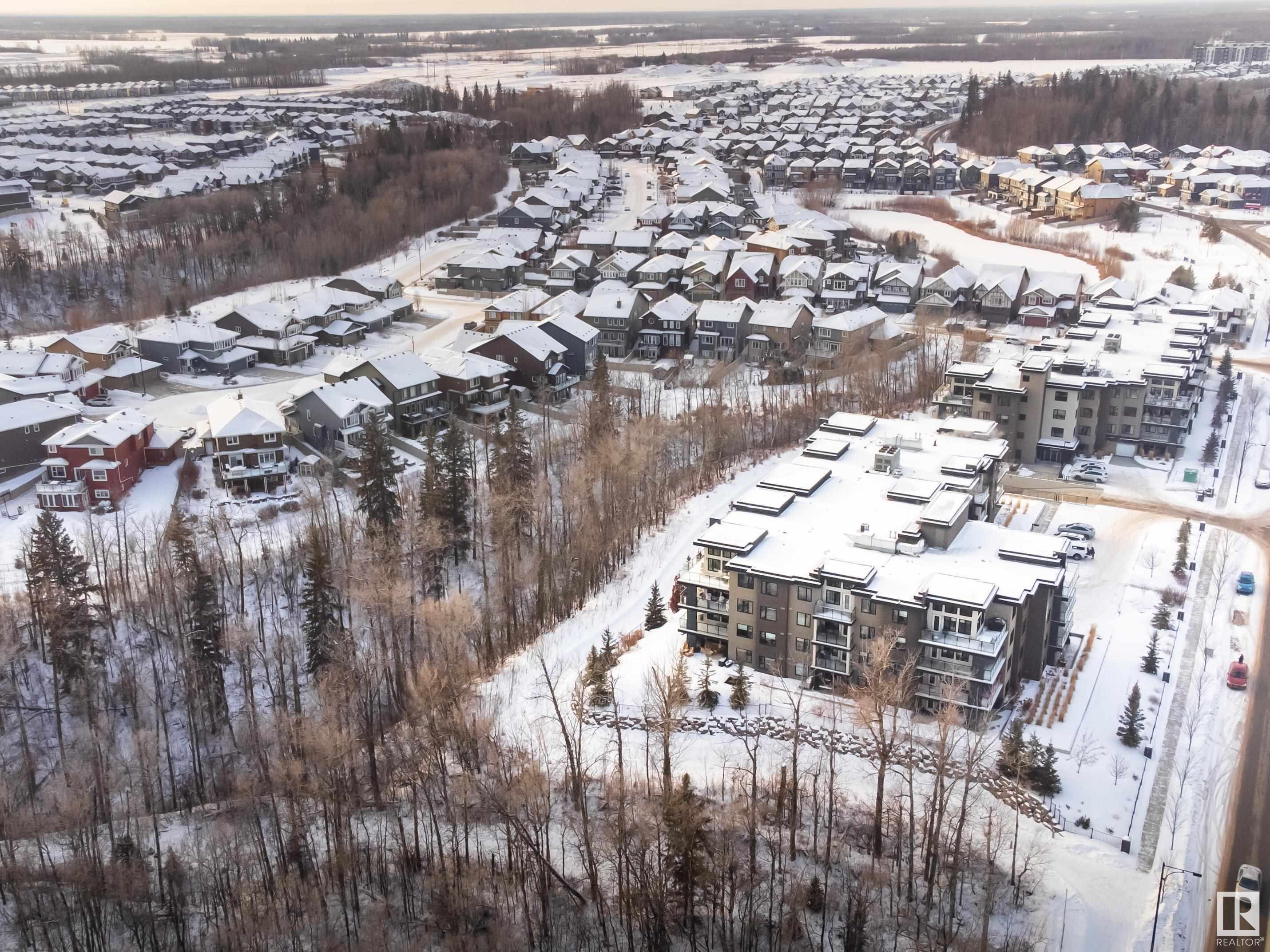      #302 5025 EDGEMONT BV NW NW , Edmonton,  ,T6M 0S8 ;  Listing Number: MLS E4416778