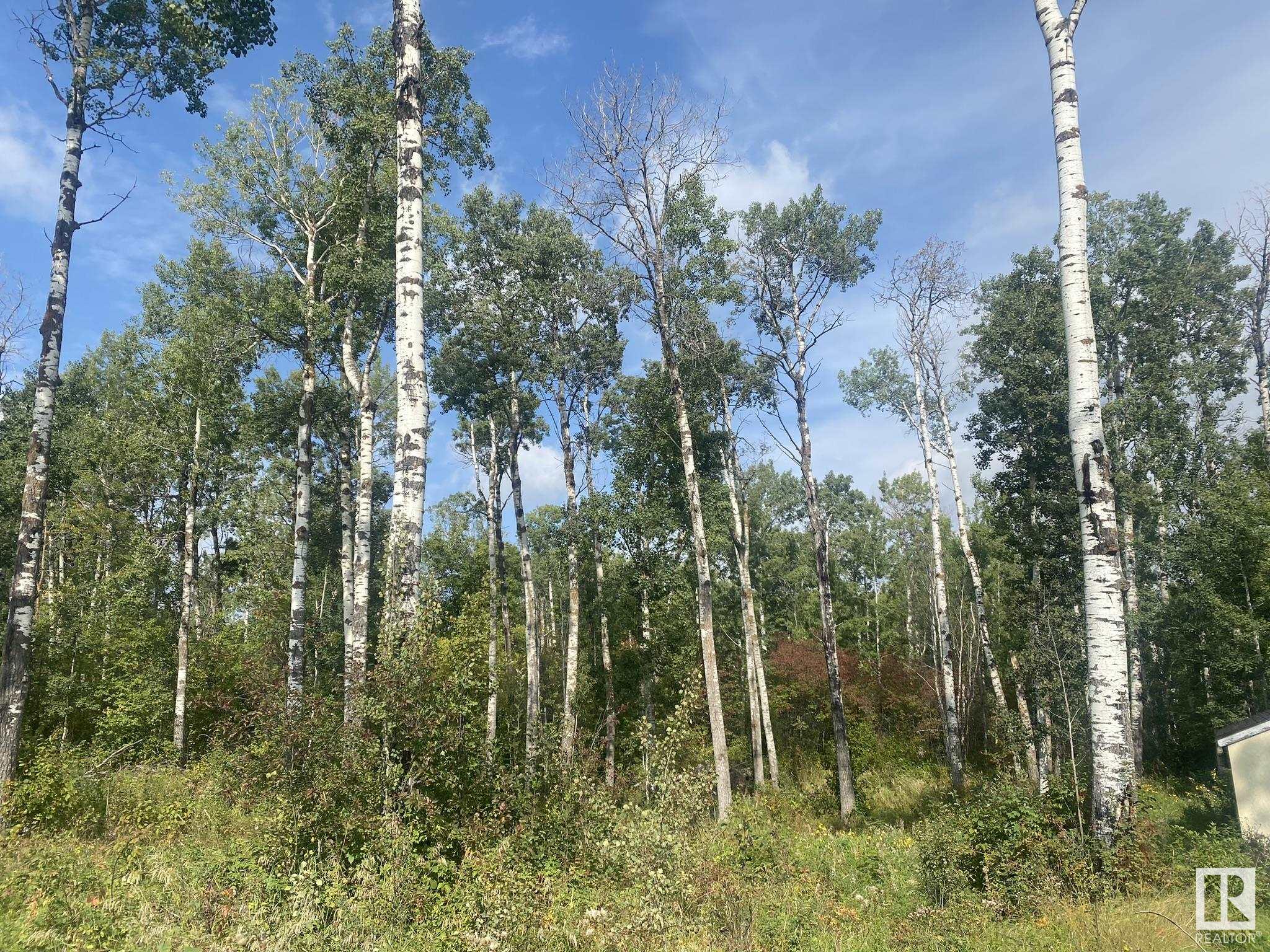      52229 RGE ROAD 25 , Rural Parkland County,  ,T0E 0H0 ;  Listing Number: MLS E4417660