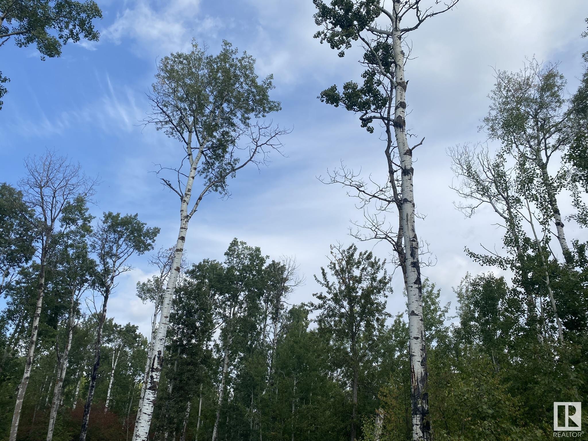      52229 RGE ROAD 25 , Rural Parkland County,  ,T0E 0H0 ;  Listing Number: MLS E4417660
