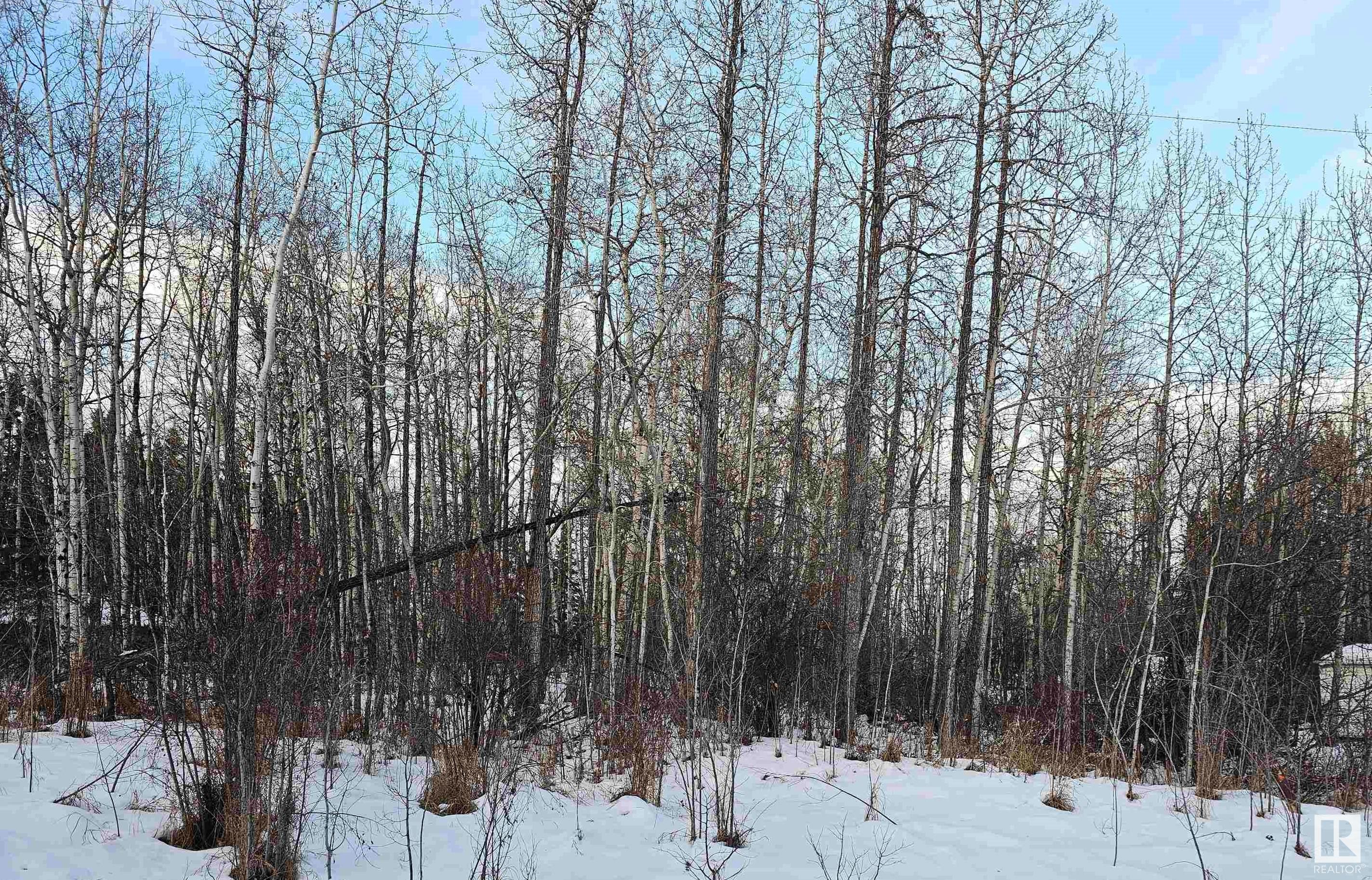      #82 4418 HWY 633 , Rural Lac Ste. Anne County,  ,T0E 0L0 ;  Listing Number: MLS E4417961
