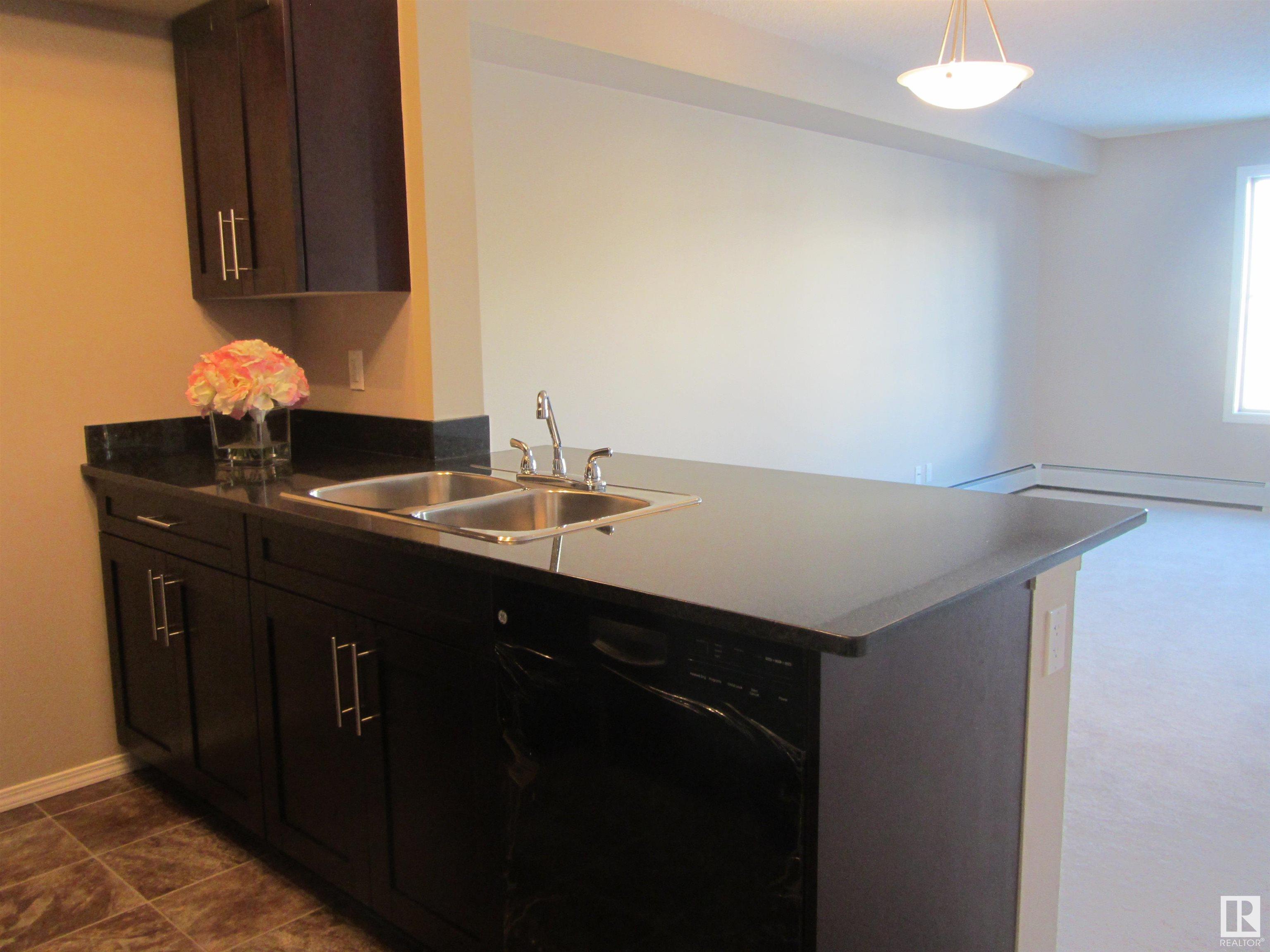      #313 12035 22 AV SW , Edmonton,  ,T6W 2X9 ;  Listing Number: MLS E4418245