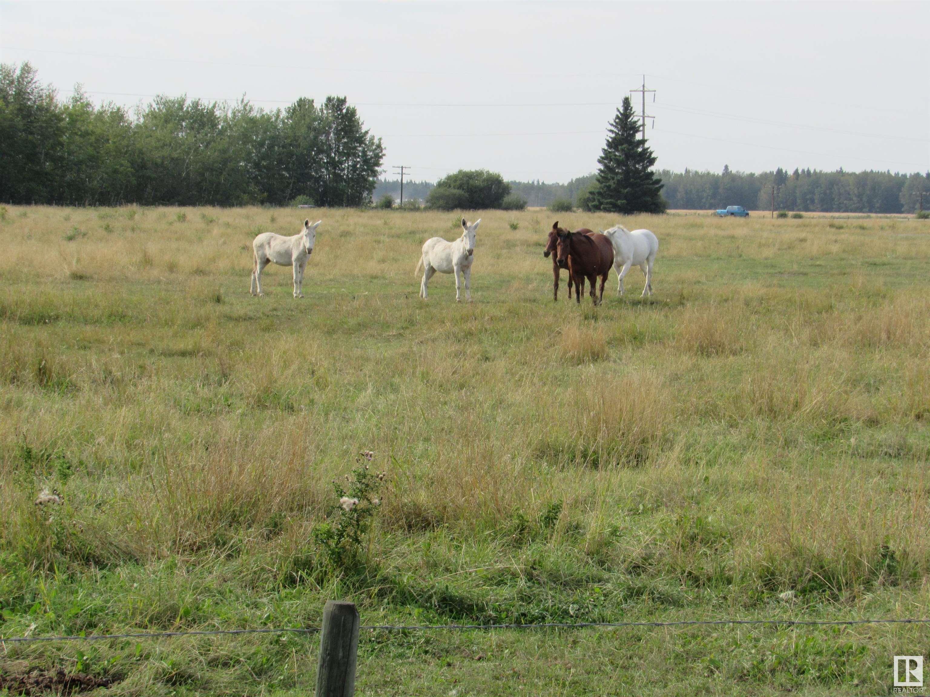      64108 Rge Rd 11 , Rural Westlock County,  ,T0G 0Y0 ;  Listing Number: MLS E4418370