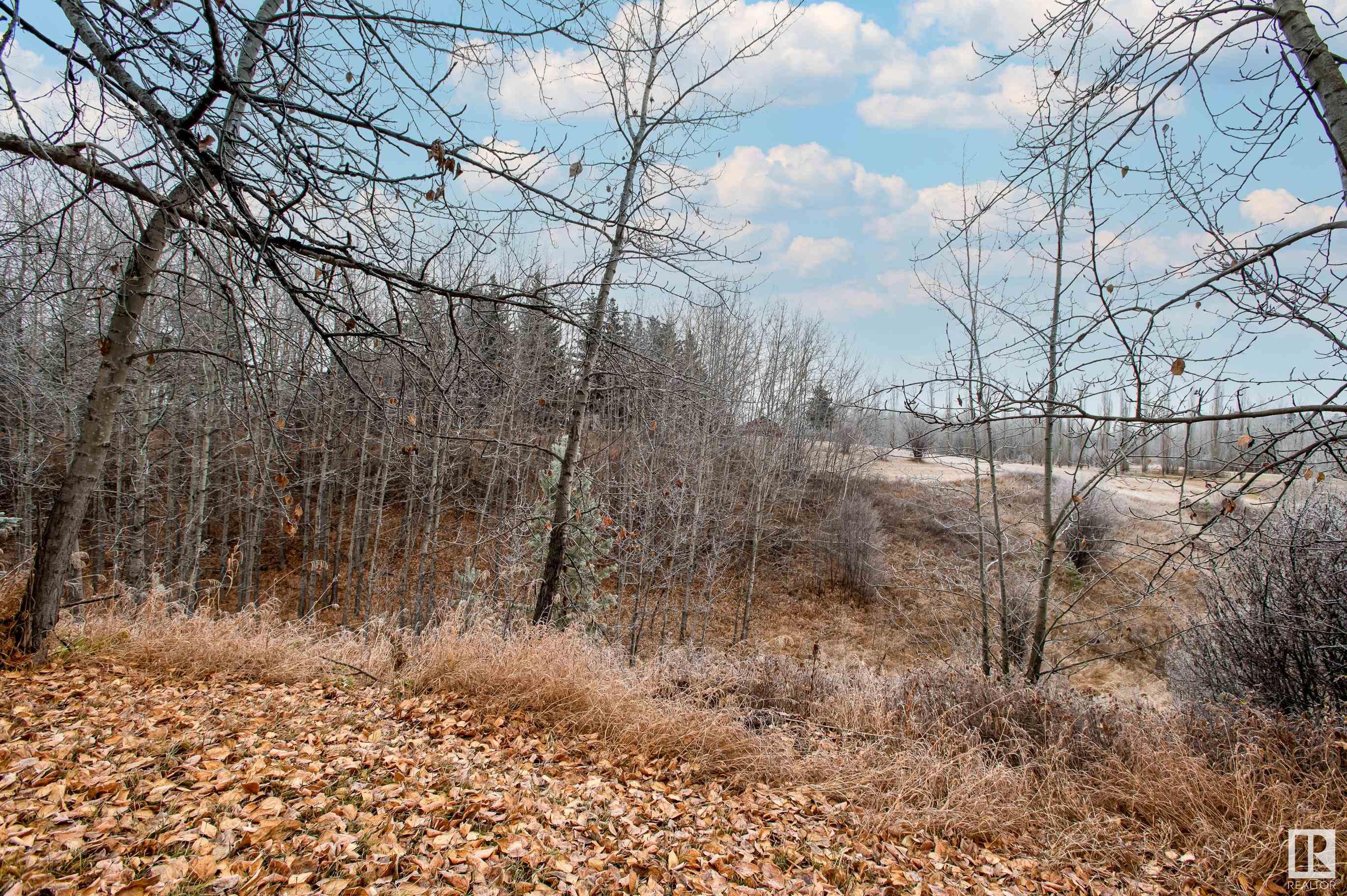      1017 Twp Rd 540 , Rural Parkland County,  ,T7X 1X3 ;  Listing Number: MLS E4418867