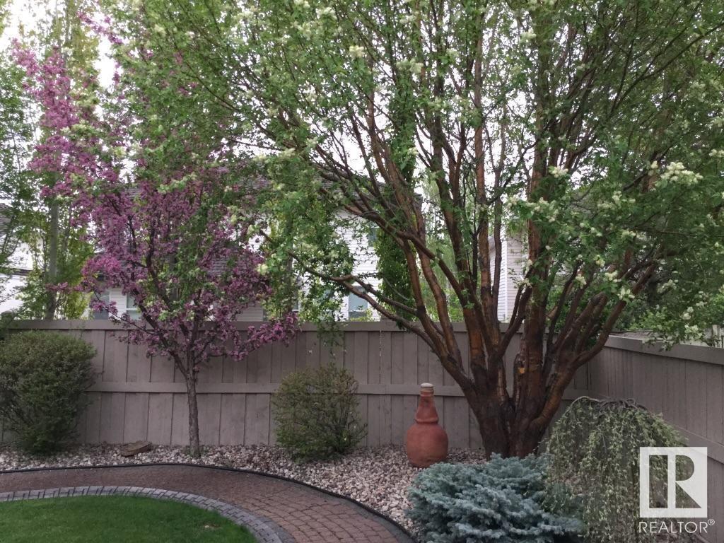      3 ESSEX CL , St. Albert,  ,T8N 5T1 ;  Listing Number: MLS E4418908