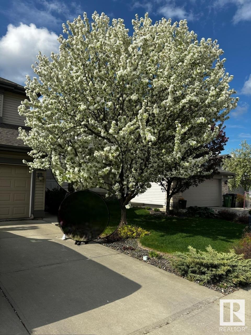      20415 57 AV NW , Edmonton,  ,T6M 0A9 ;  Listing Number: MLS E4419213