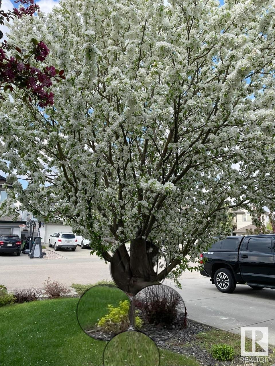      20415 57 AV NW , Edmonton,  ,T6M 0A9 ;  Listing Number: MLS E4419213
