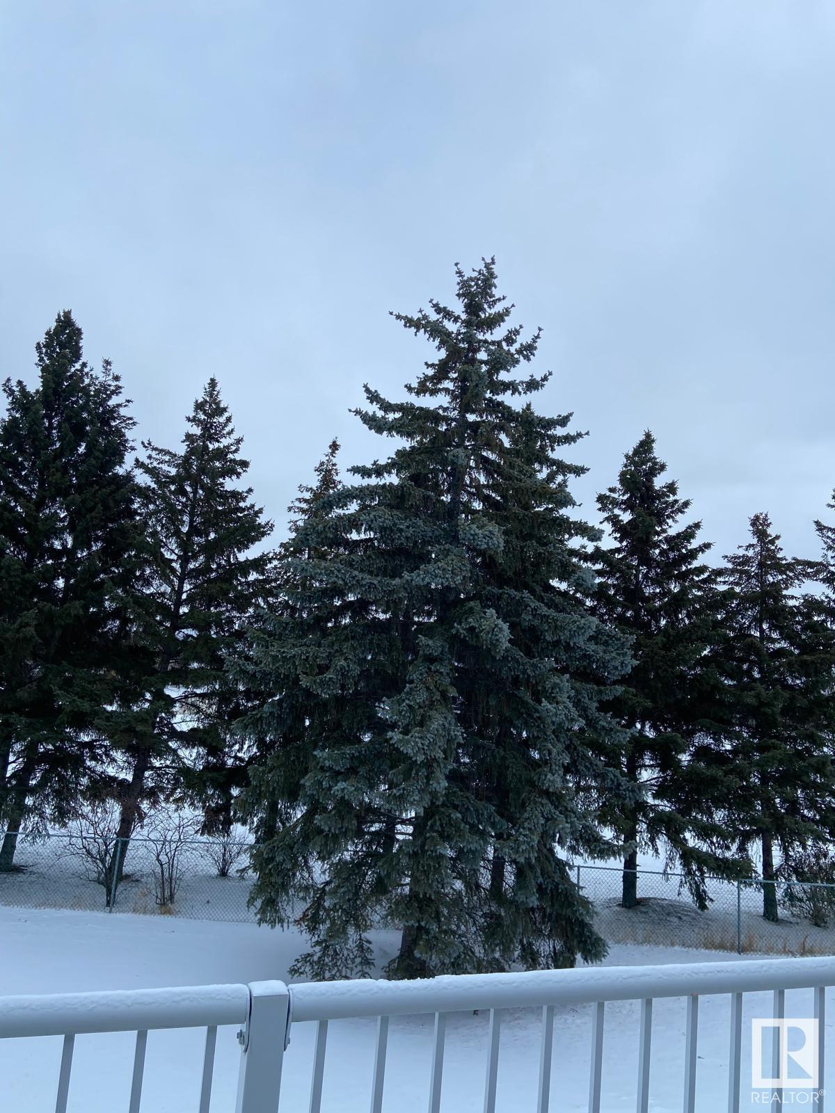      #13 2115 118 ST NW , Edmonton,  ,T6J 6L8 ;  Listing Number: MLS E4419244