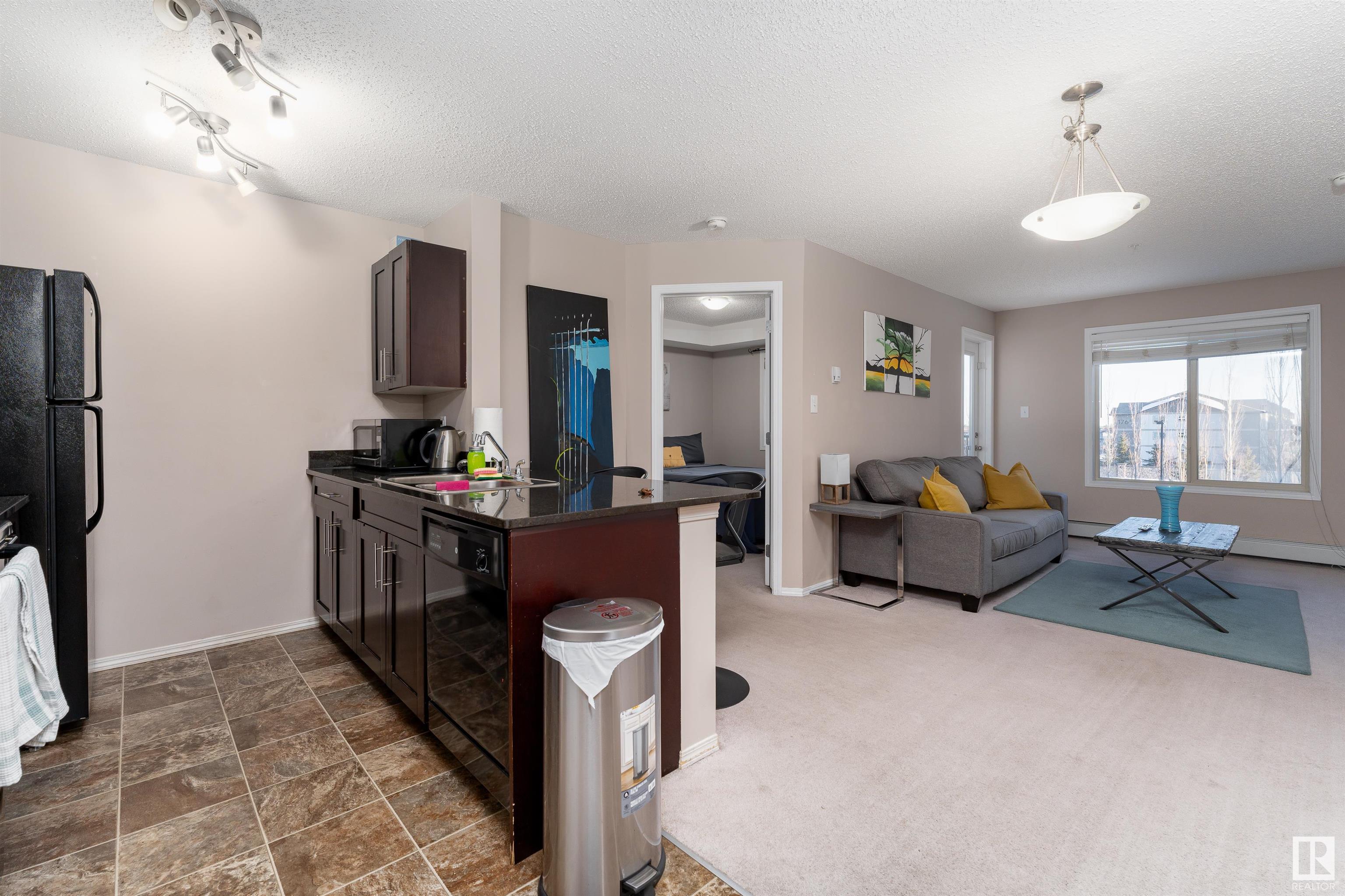      #316 11803 22 AV SW , Edmonton,  ,T6W 2R9 ;  Listing Number: MLS E4419266