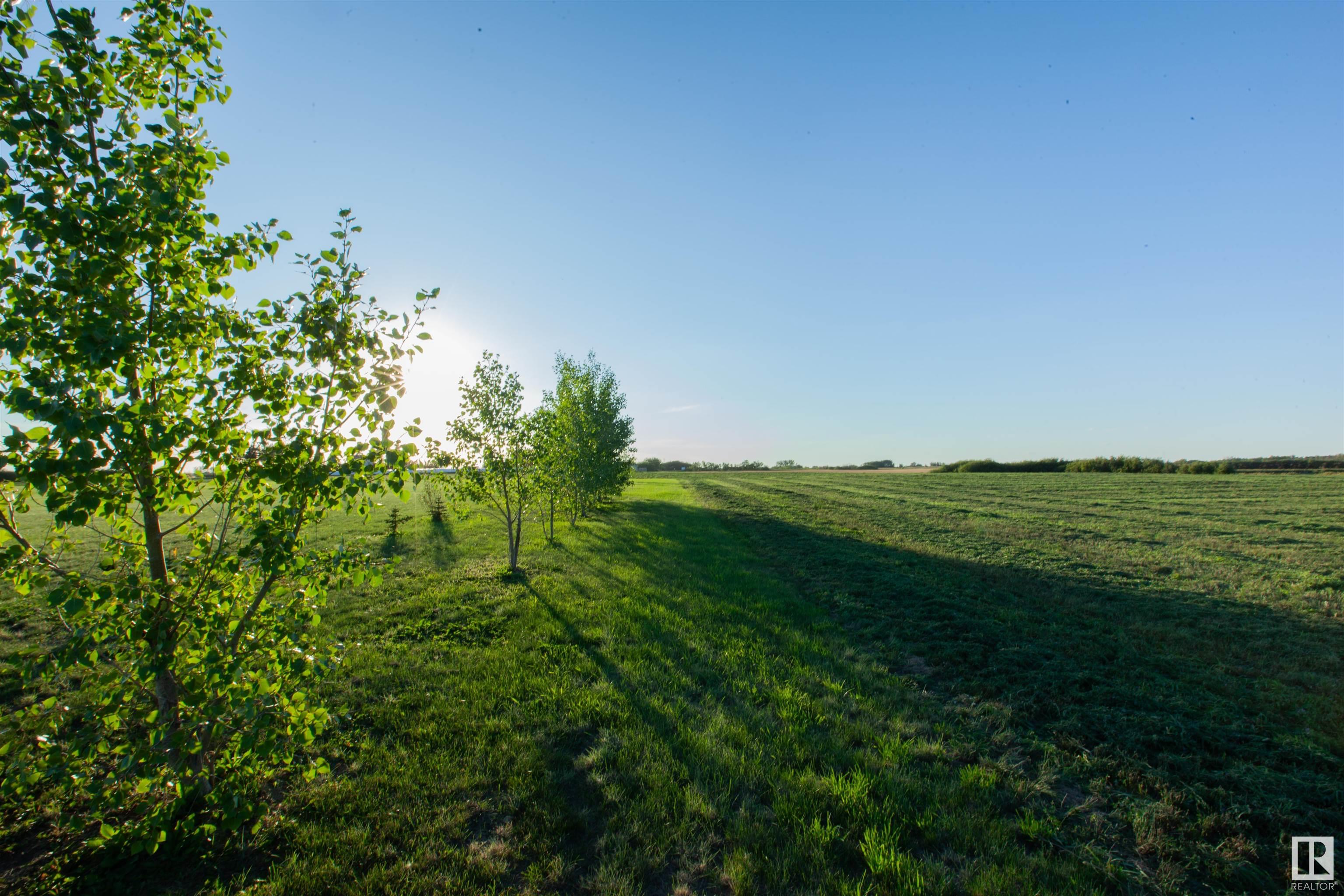     1004 McCarter AV , Rural Camrose County,  ,T0B 3P0 ;  Listing Number: MLS E4419342