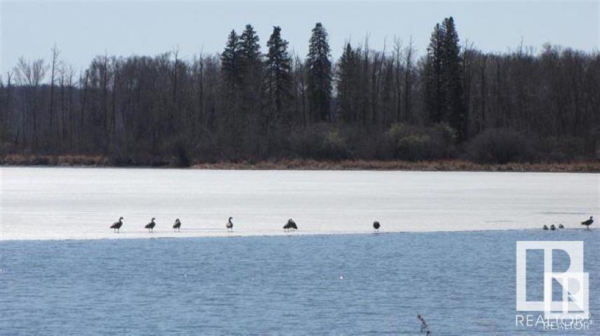      42 Highway 633 and Range Road 54 , Rural Lac Ste. Anne County,  ,T0E 1H0 ;  Listing Number: MLS E4419483