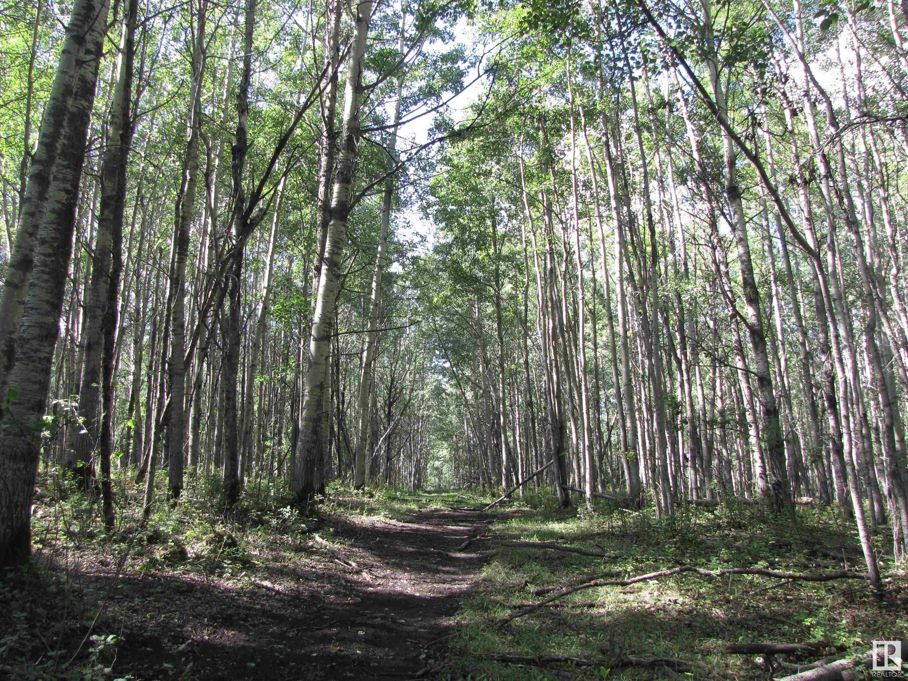      5206 Township Road 550 , Rural Lac Ste. Anne County,  ,T0E 0L0 ;  Listing Number: MLS E4419569