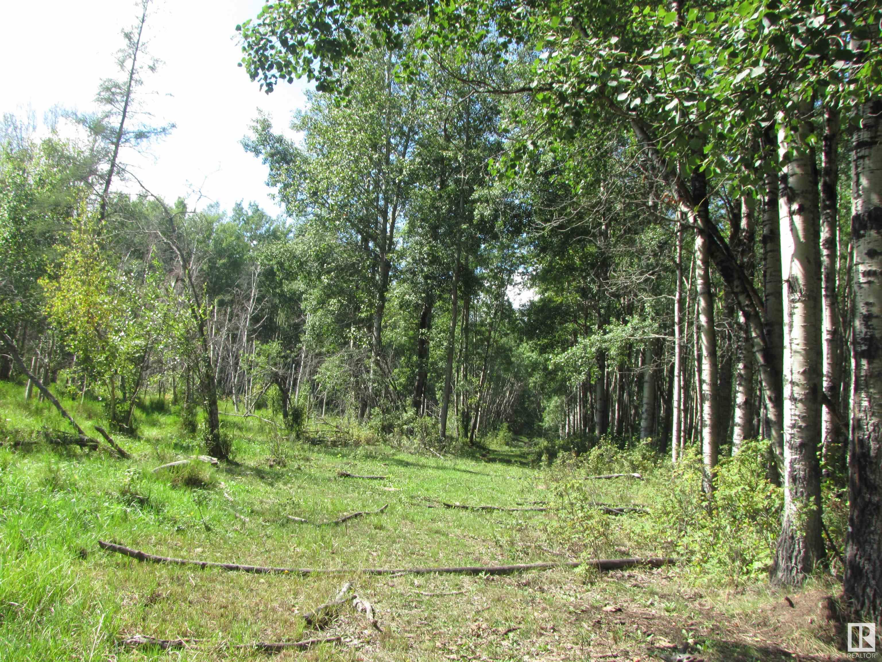      5206 Township Road 550 , Rural Lac Ste. Anne County,  ,T0E 0L0 ;  Listing Number: MLS E4419569