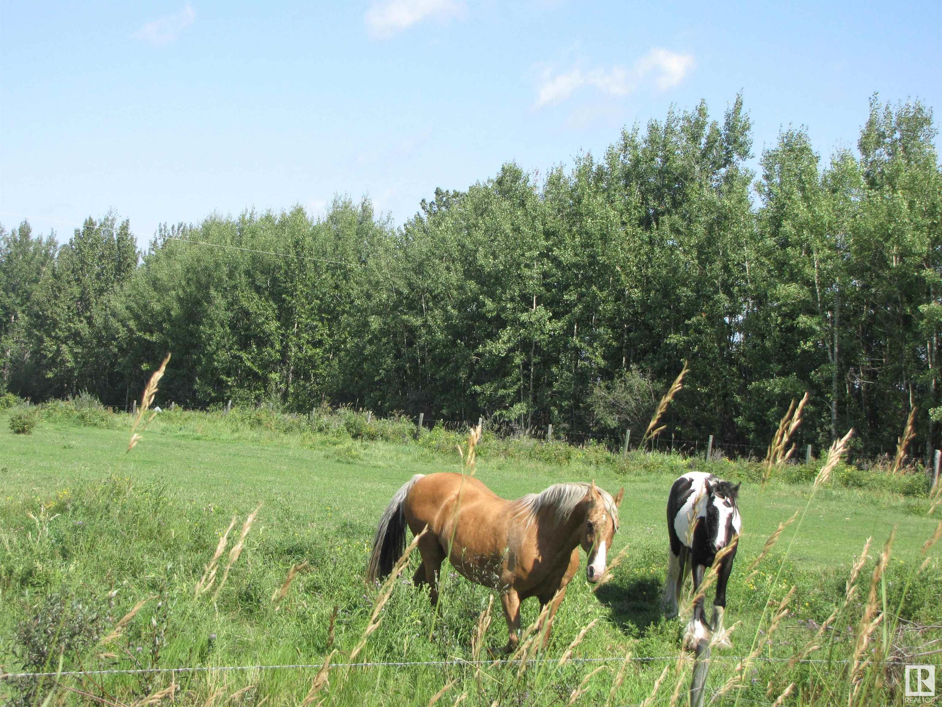      5206 Township Road 550 , Rural Lac Ste. Anne County,  ,T0E 0L0 ;  Listing Number: MLS E4419569