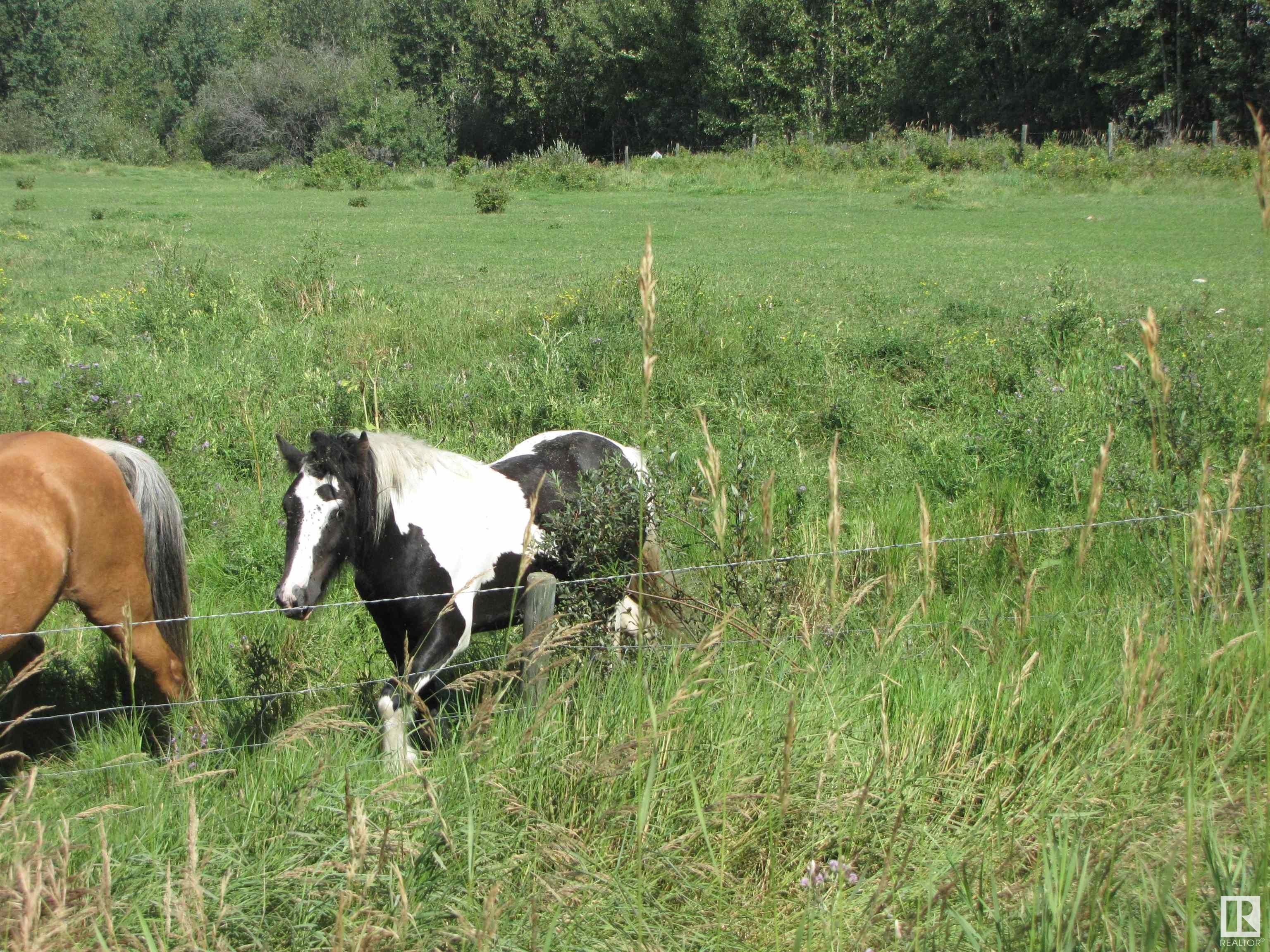     5206 Township Road 550 , Rural Lac Ste. Anne County,  ,T0E 0L0 ;  Listing Number: MLS E4419569