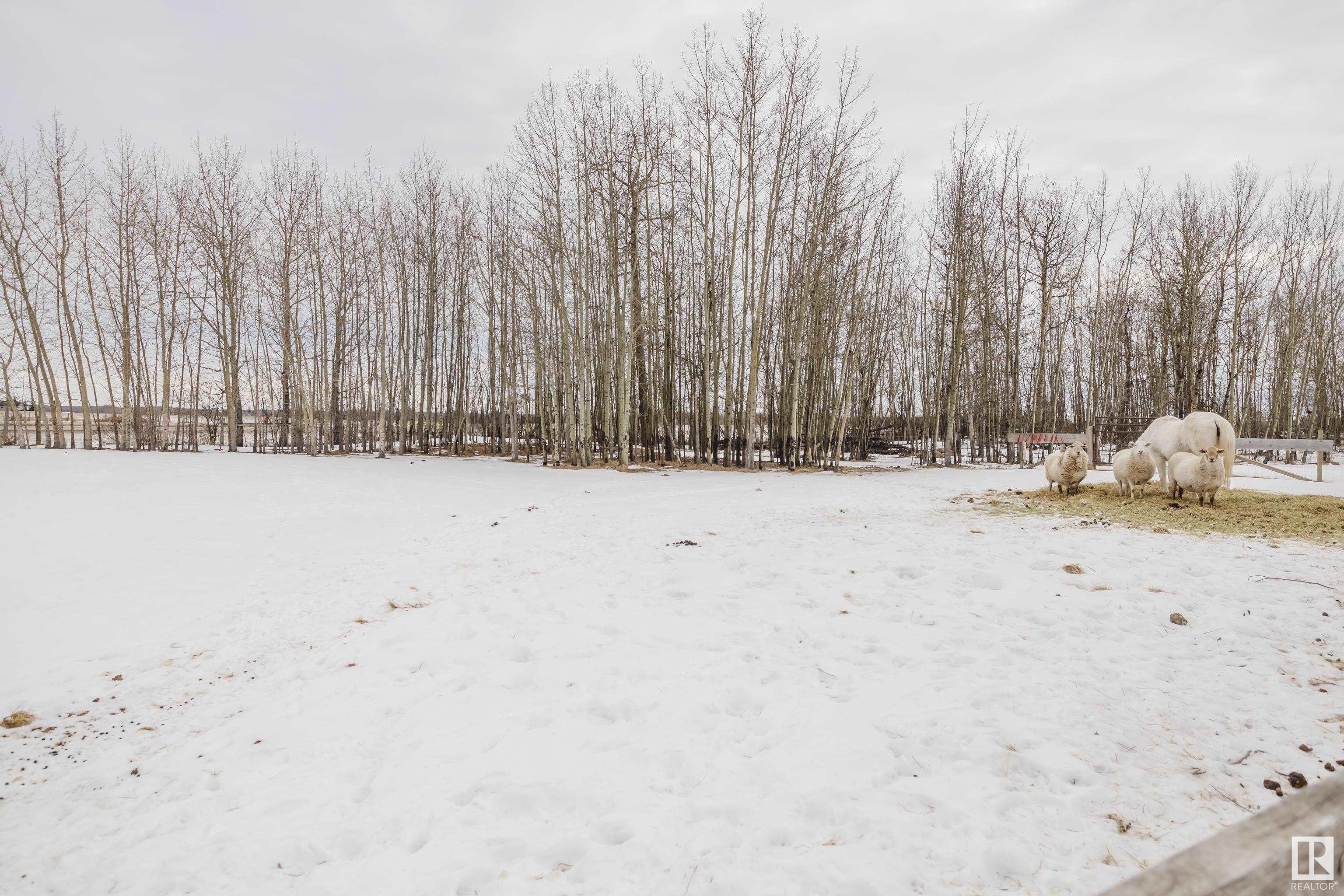      #11 2306 TWP ROAD 540 , Rural Lac Ste. Anne County,  ,T0E 1V0 ;  Listing Number: MLS E4419666