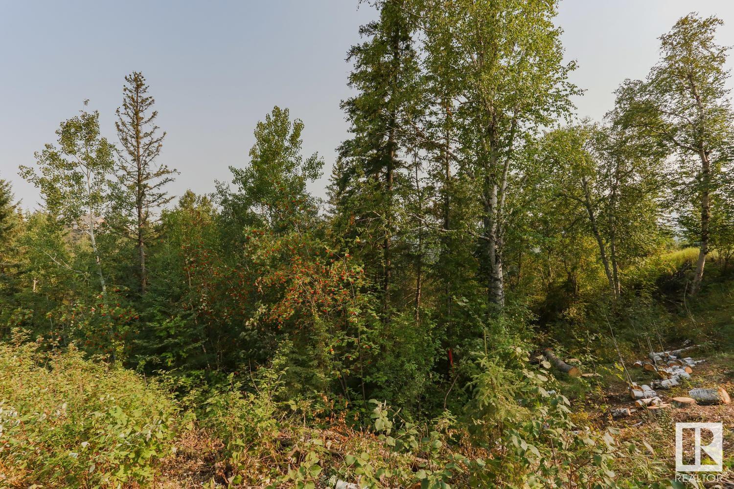      13808 VALLEYVIEW DR NW , Edmonton,  ,T5R 5T8 ;  Listing Number: MLS E4419934