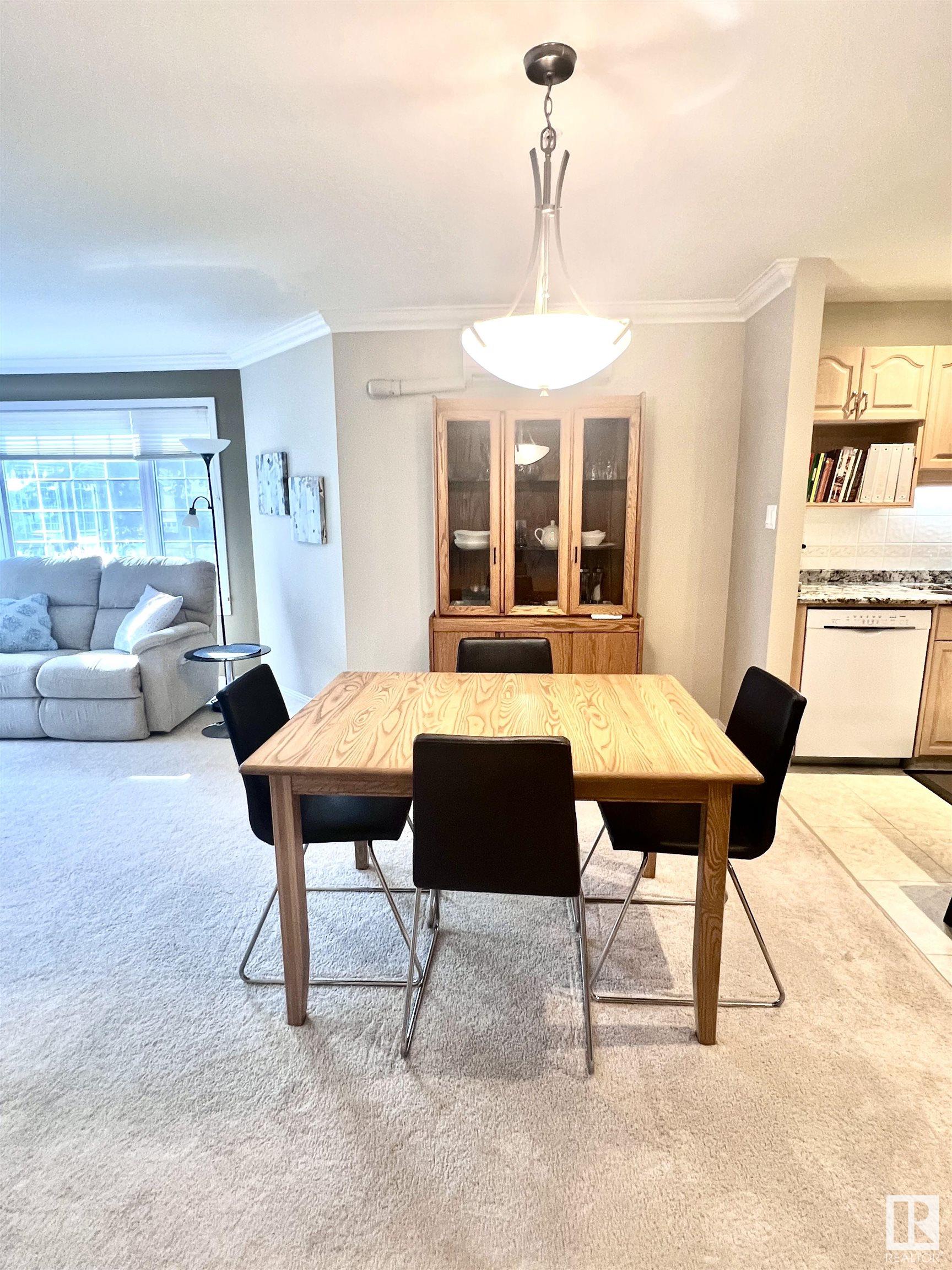      #101 17150 94A AV NW , Edmonton,  ,T6T 6L7 ;  Listing Number: MLS E4419940