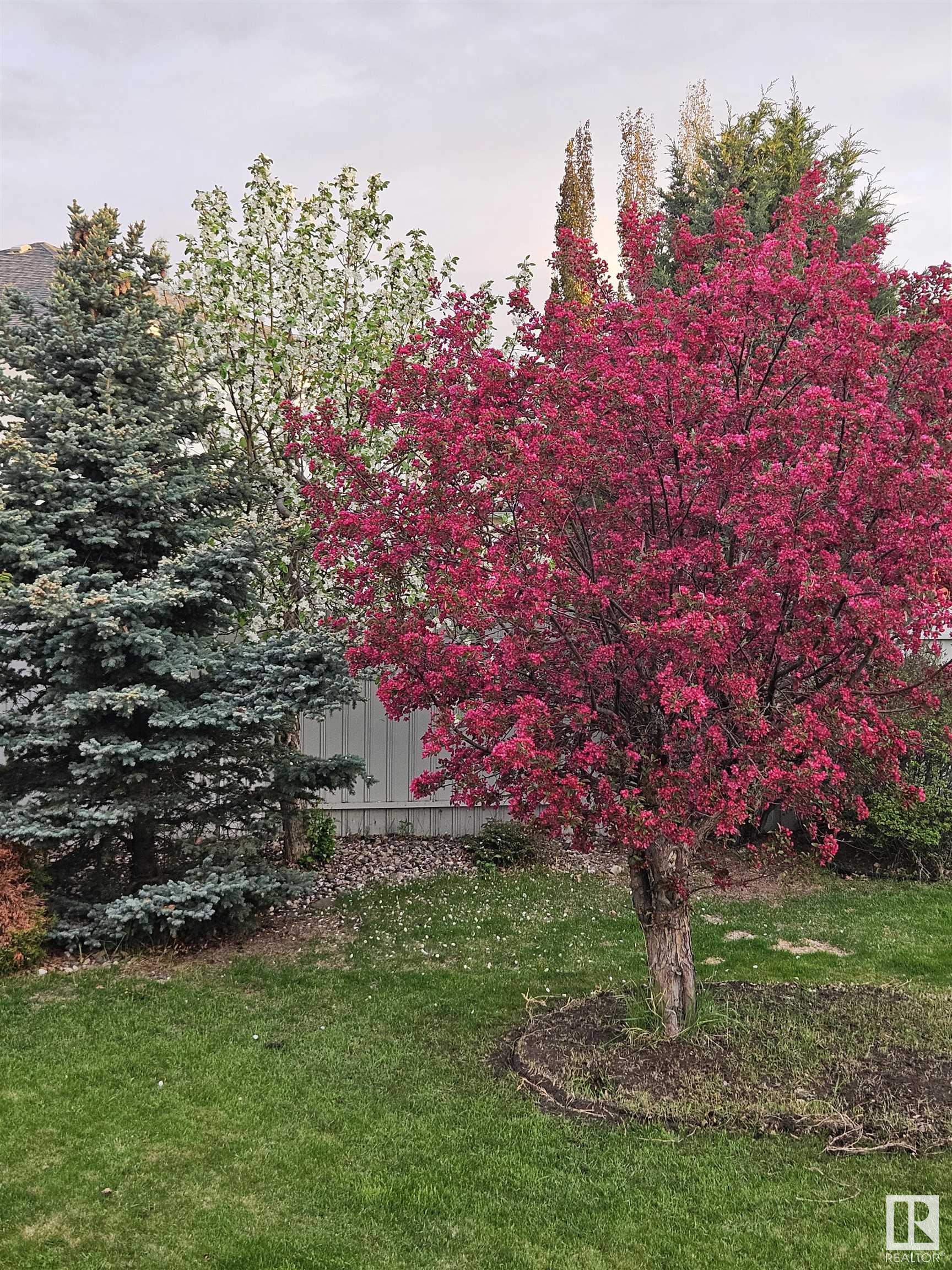      8918 159A AV NW , Edmonton,  ,T5Z 3E7 ;  Listing Number: MLS E4420006