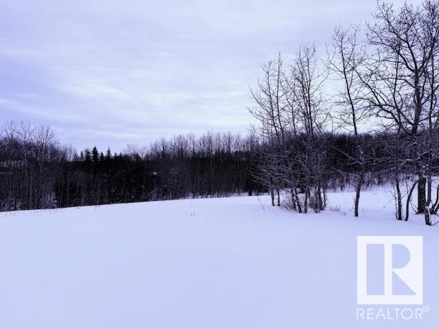      #49 50514 range road 202 , Rural Beaver County,  ,T0B 4J2 ;  Listing Number: MLS E4420049