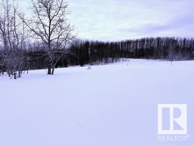      #49 50514 range road 202 , Rural Beaver County,  ,T0B 4J2 ;  Listing Number: MLS E4420049