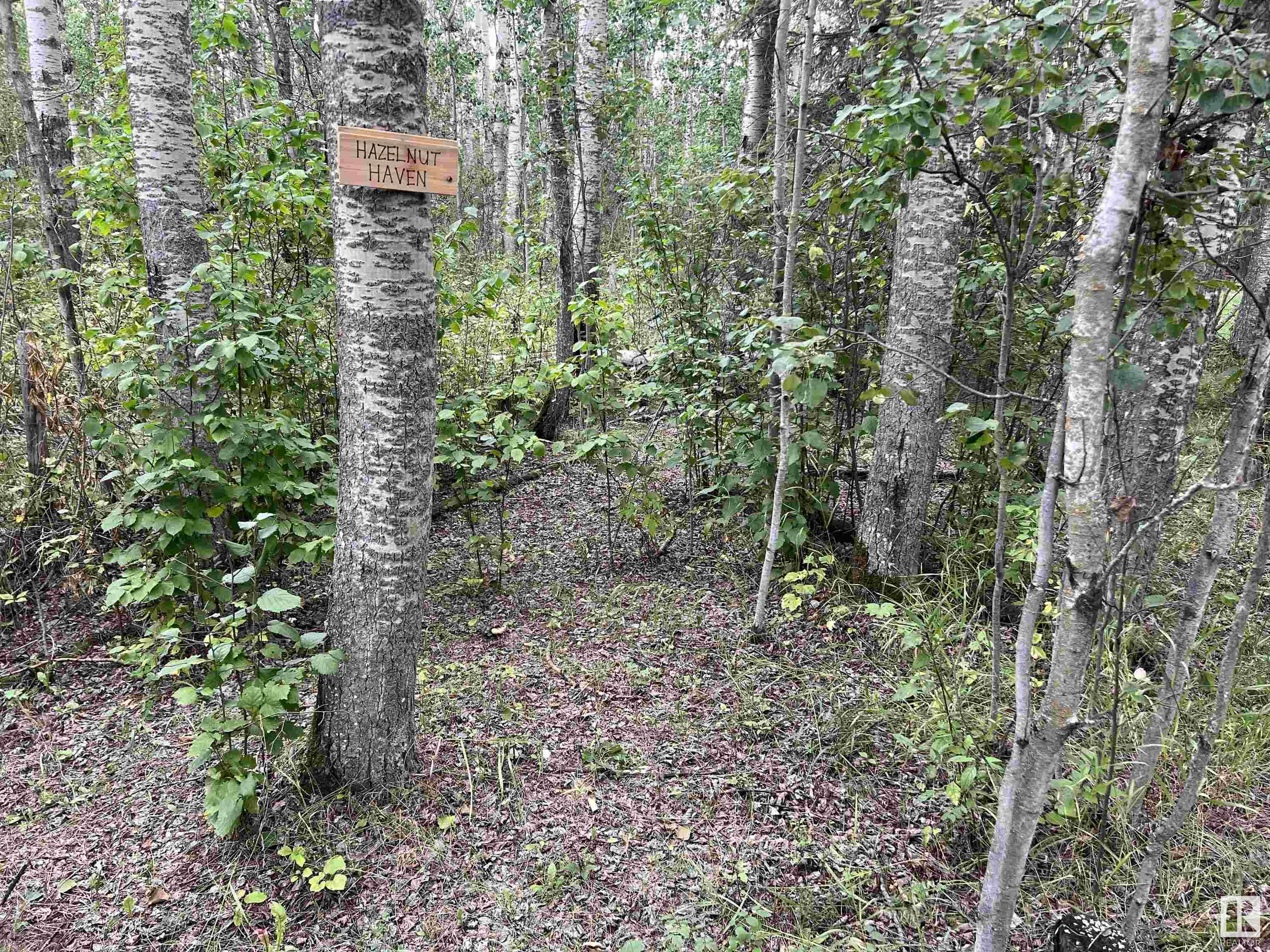      #406 54411 RGE RD 40 , Rural Lac Ste. Anne County,  ,T0E 0A0 ;  Listing Number: MLS E4420224